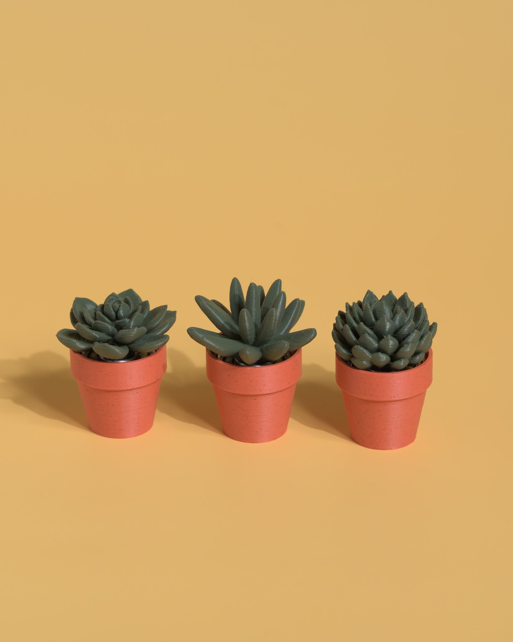 succulent toy Spinny Succulents