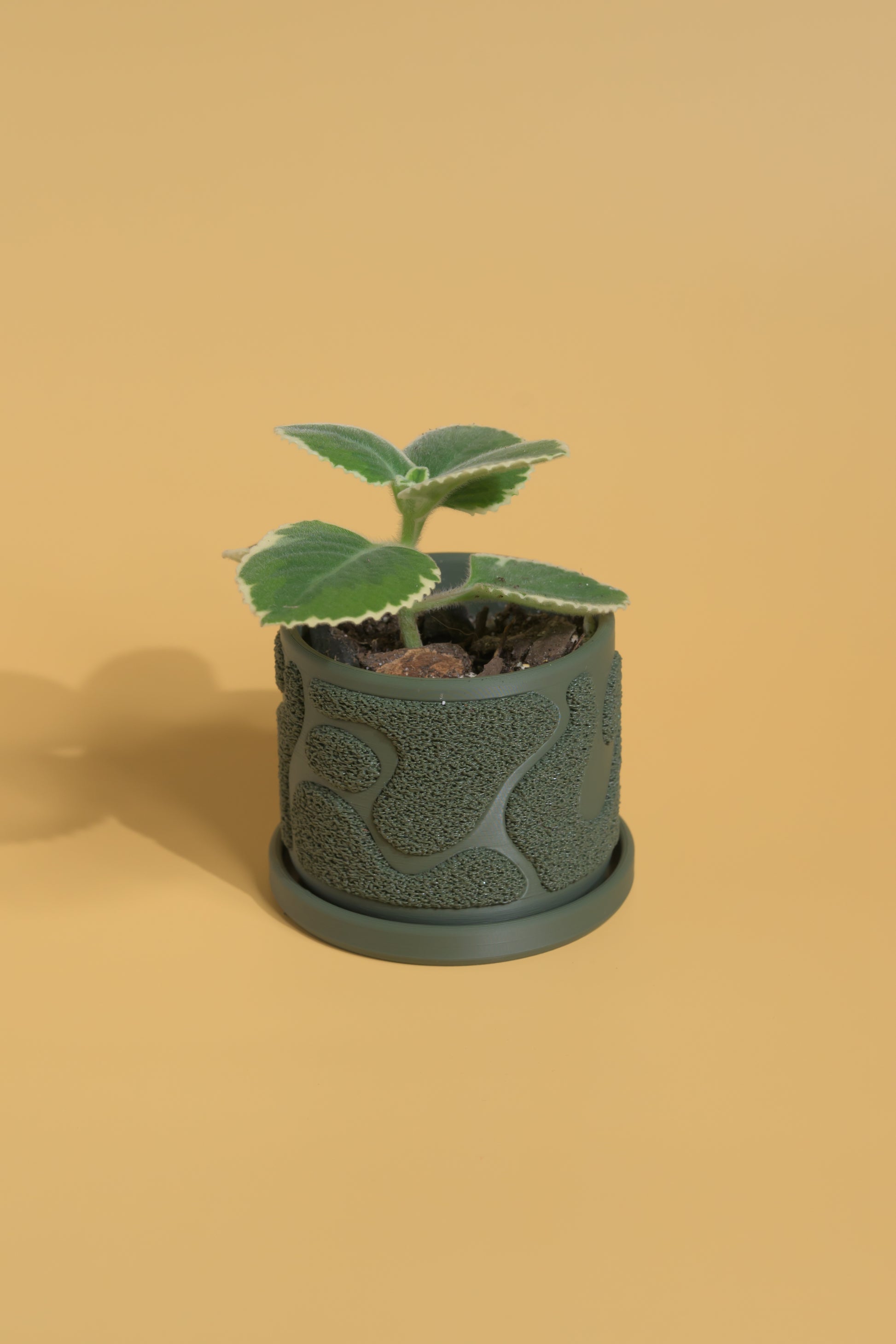 Moss Planter - Boho, Organic Mossy Texture