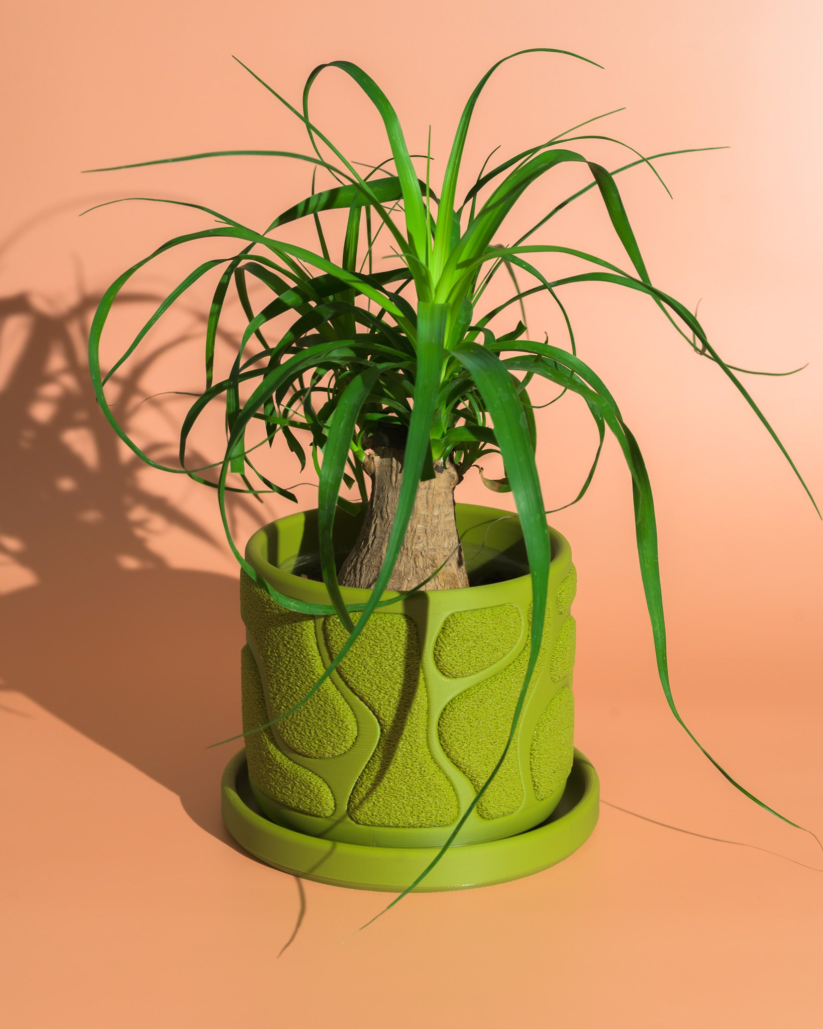 Moss Planter - Boho, Organic Mossy Texture