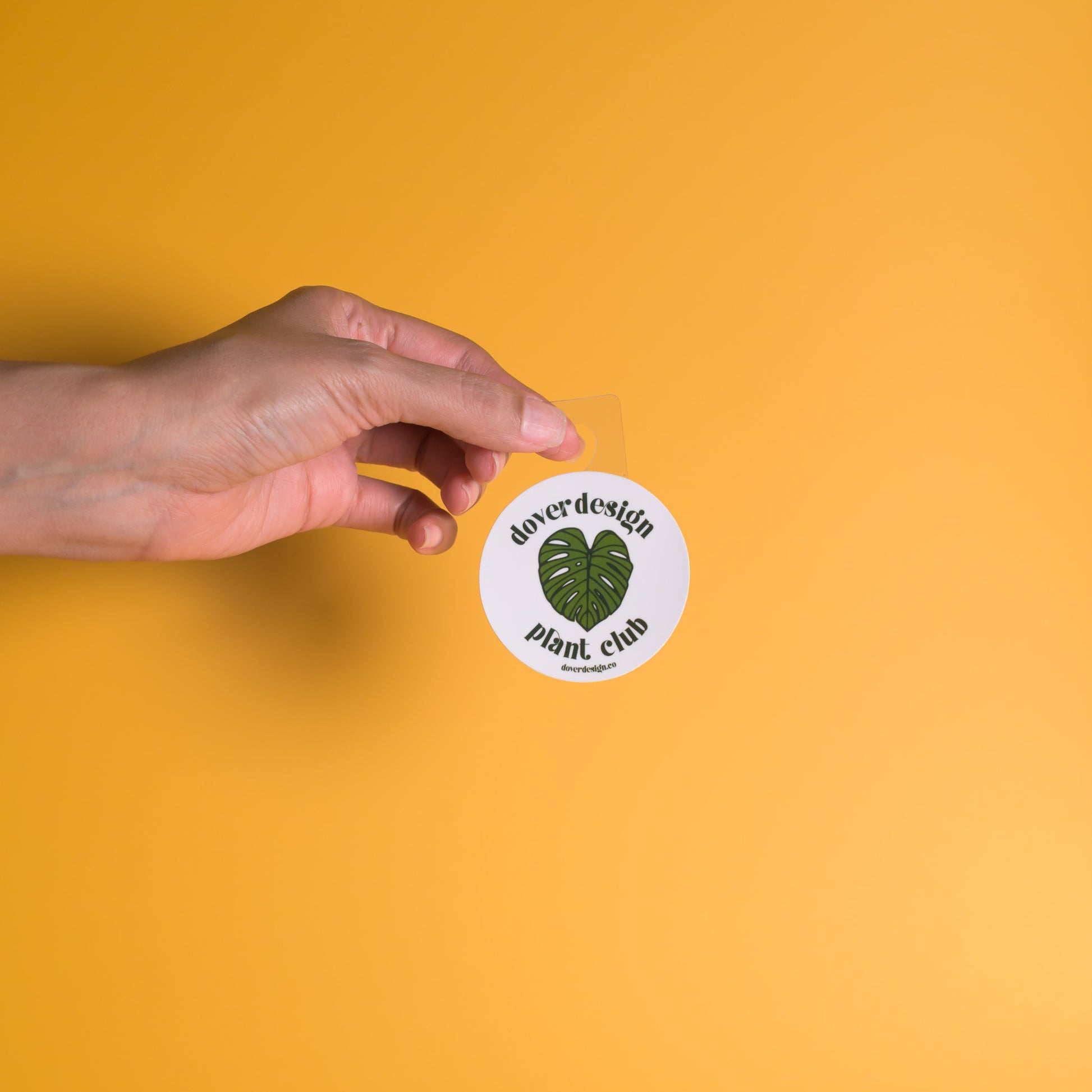 Hand holding a sticker with 'dover design plant club' on a yellow background