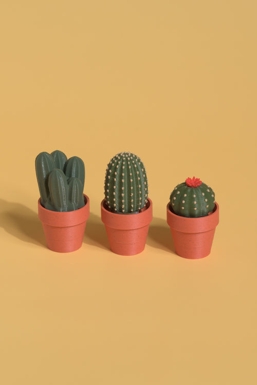 Clicky Cacti - Fidget Clickers