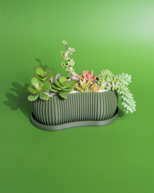 mid century indoor planter Terra Planter