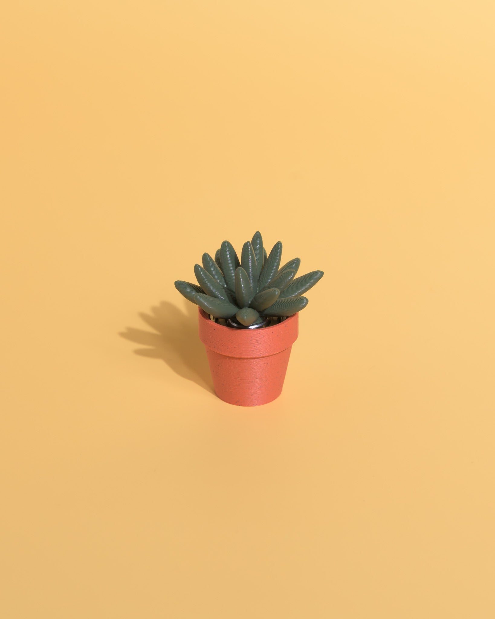 Spinny Succulents - Plant Fidget Toys