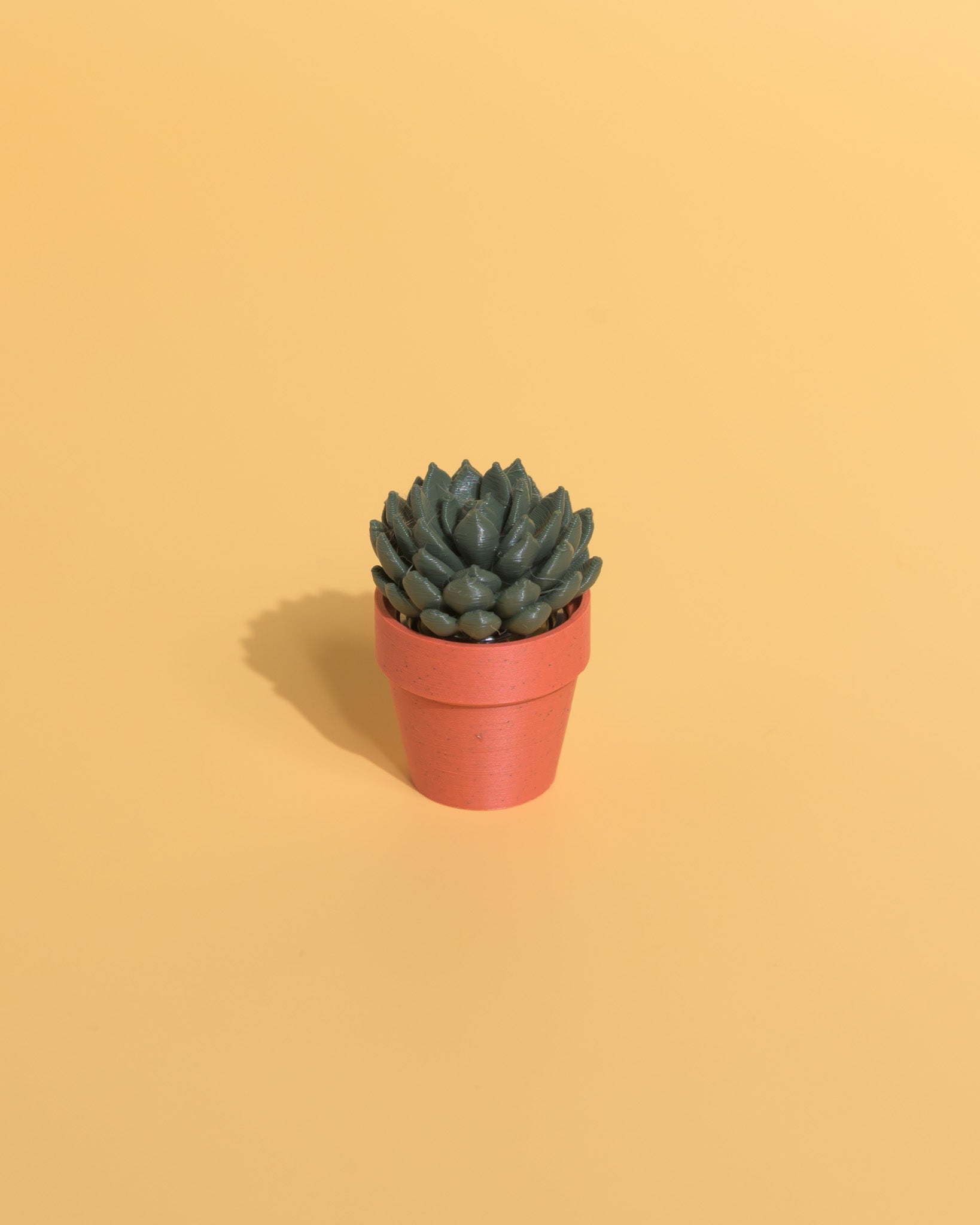 Spinny Succulents - Plant Fidget Toys