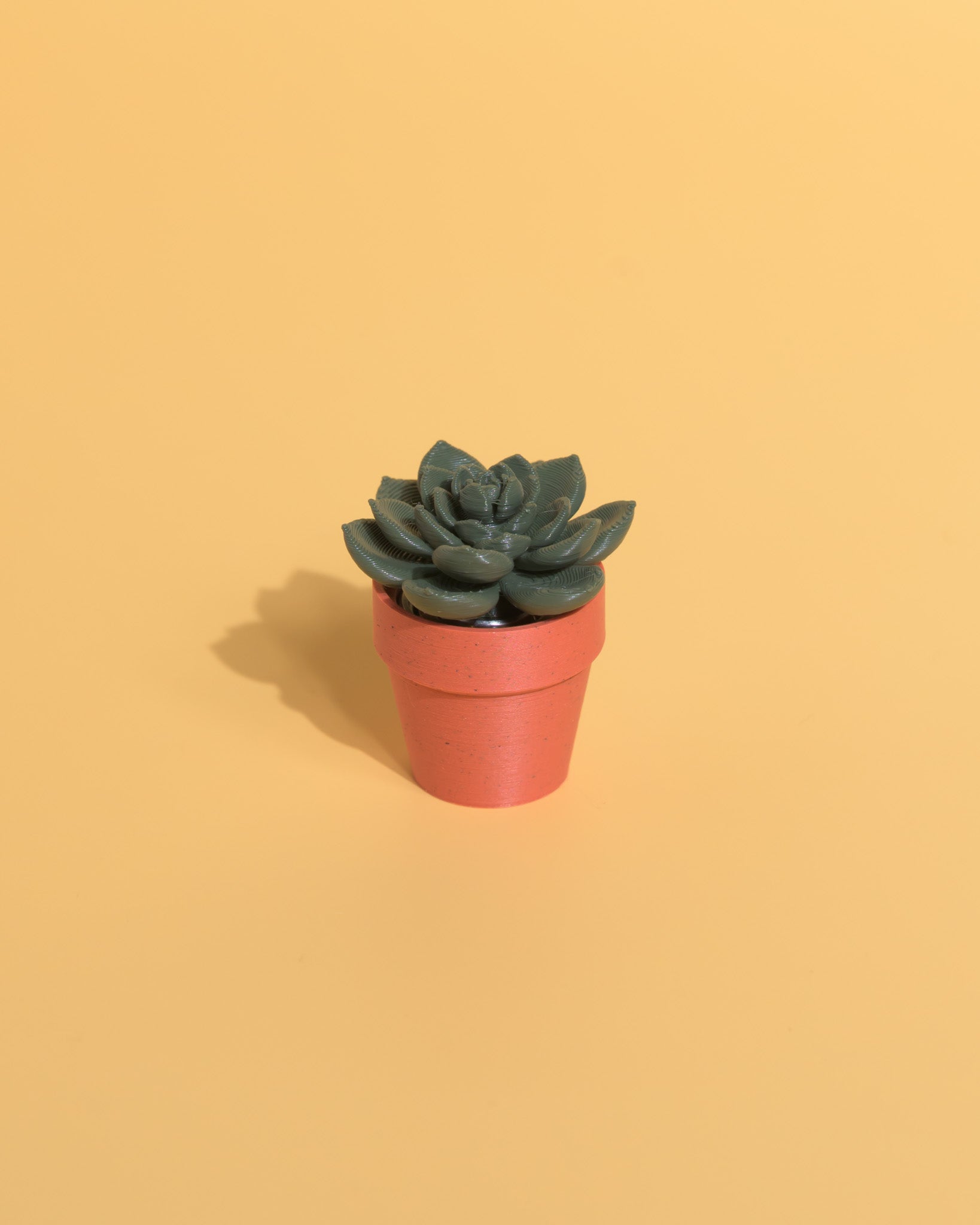 Spinny Succulents - Plant Fidget Toys