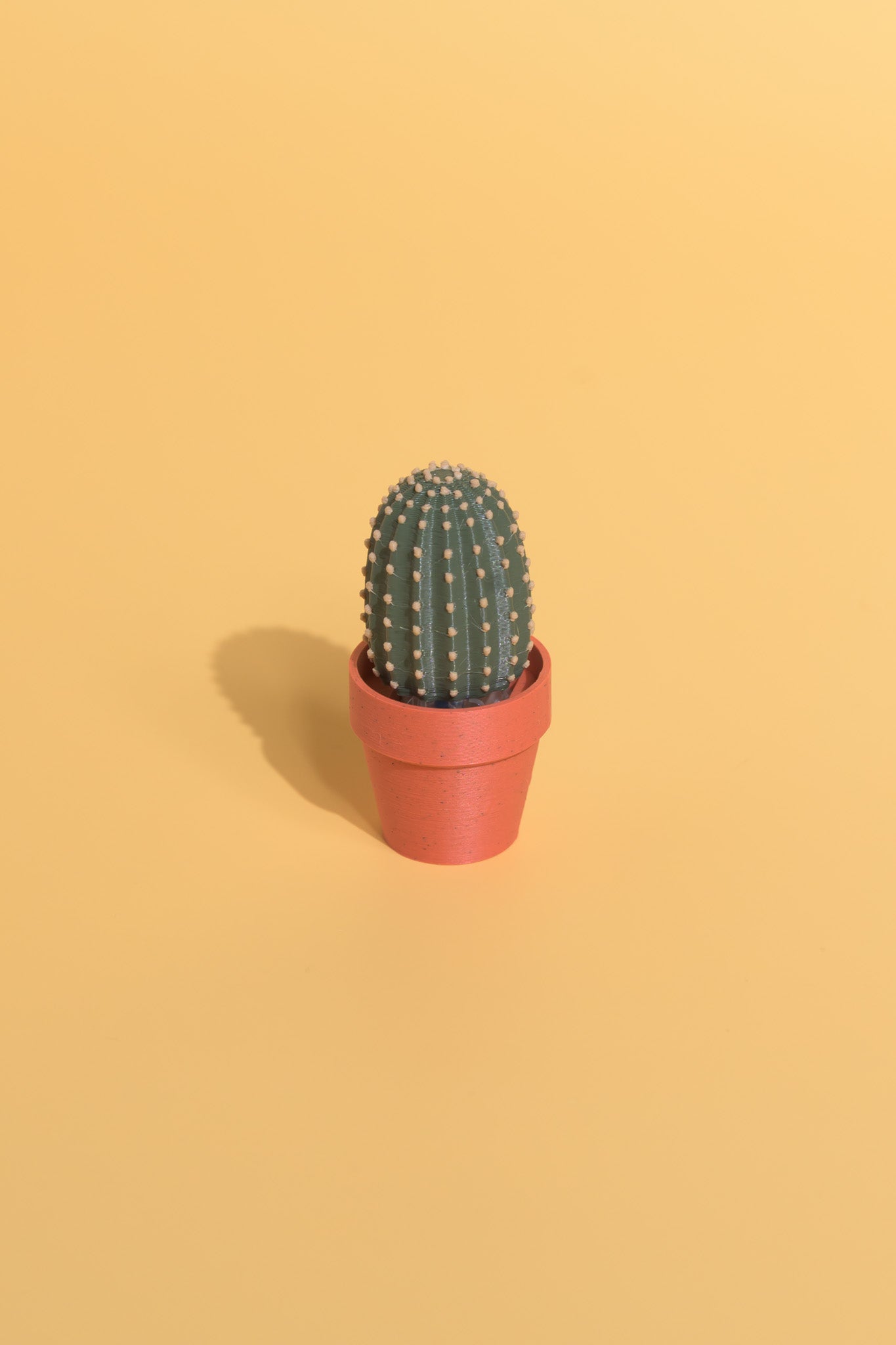 Clicky Cacti - Fidget Clickers