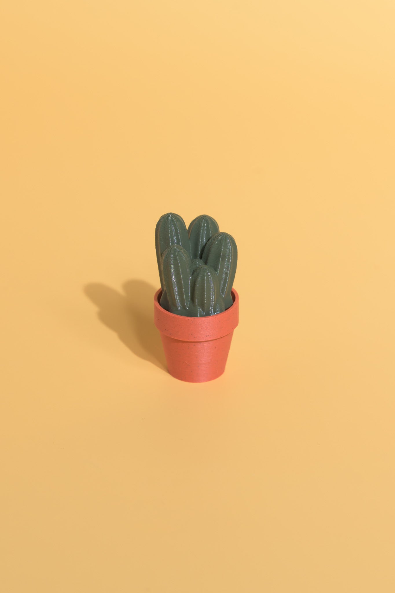 Clicky Cacti