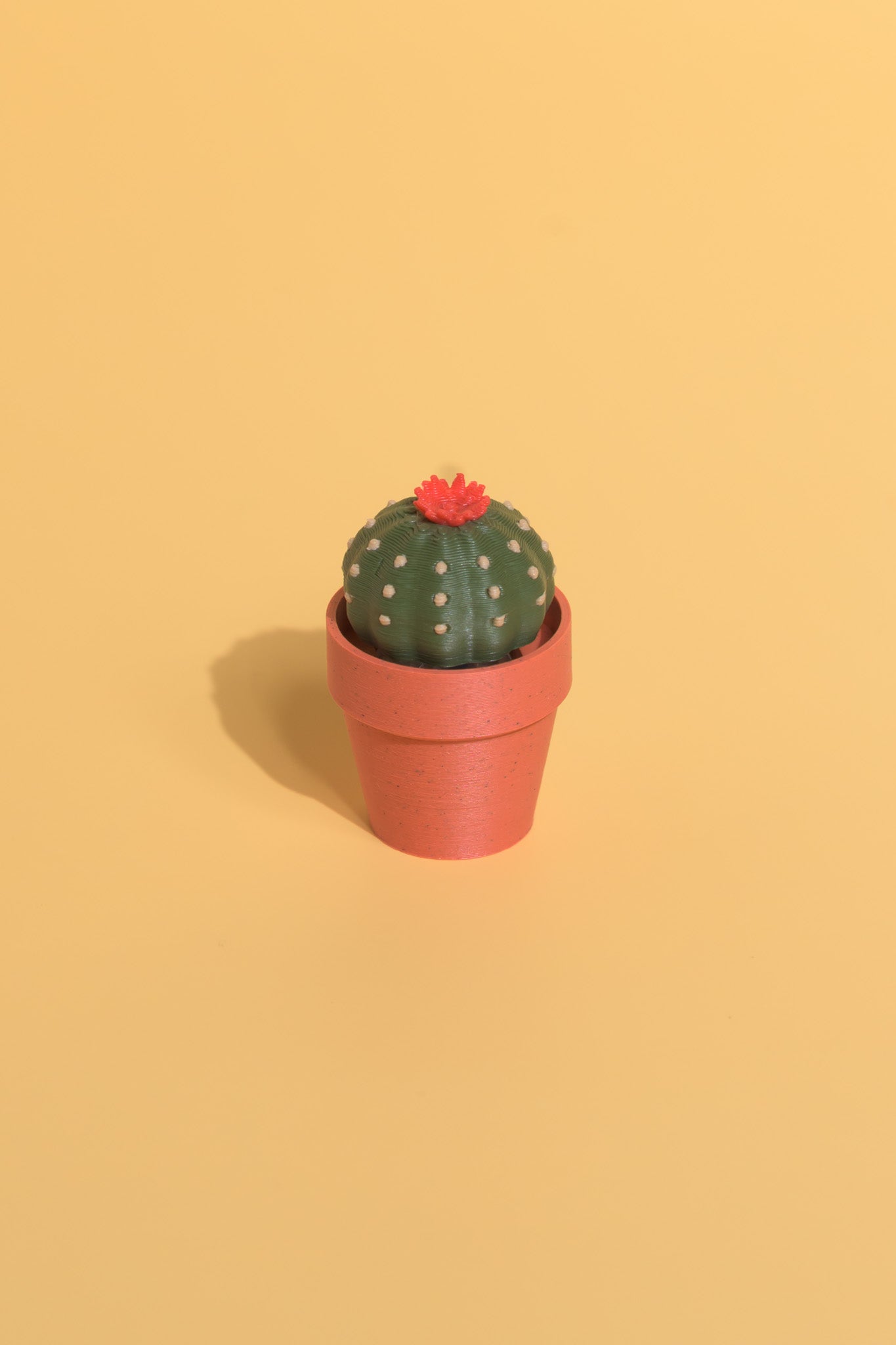 Clicky Cacti - Fidget Clickers