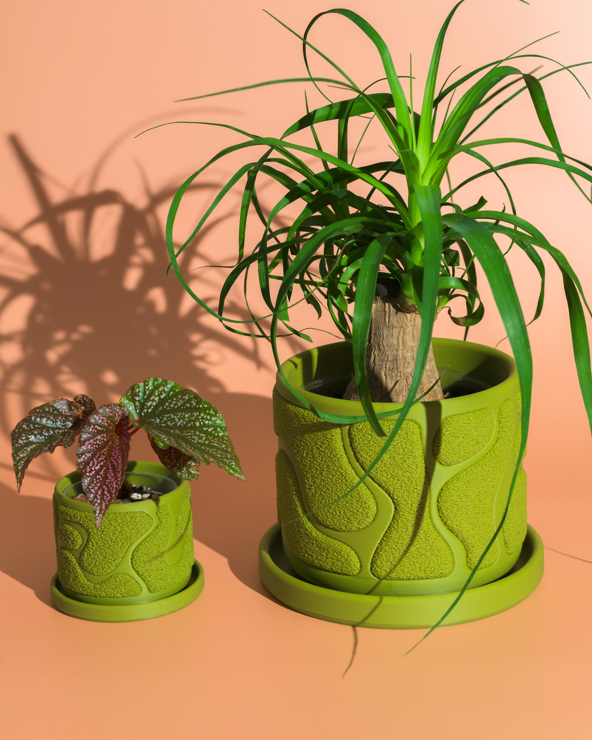 Moss Planter - Boho, Organic Mossy Texture
