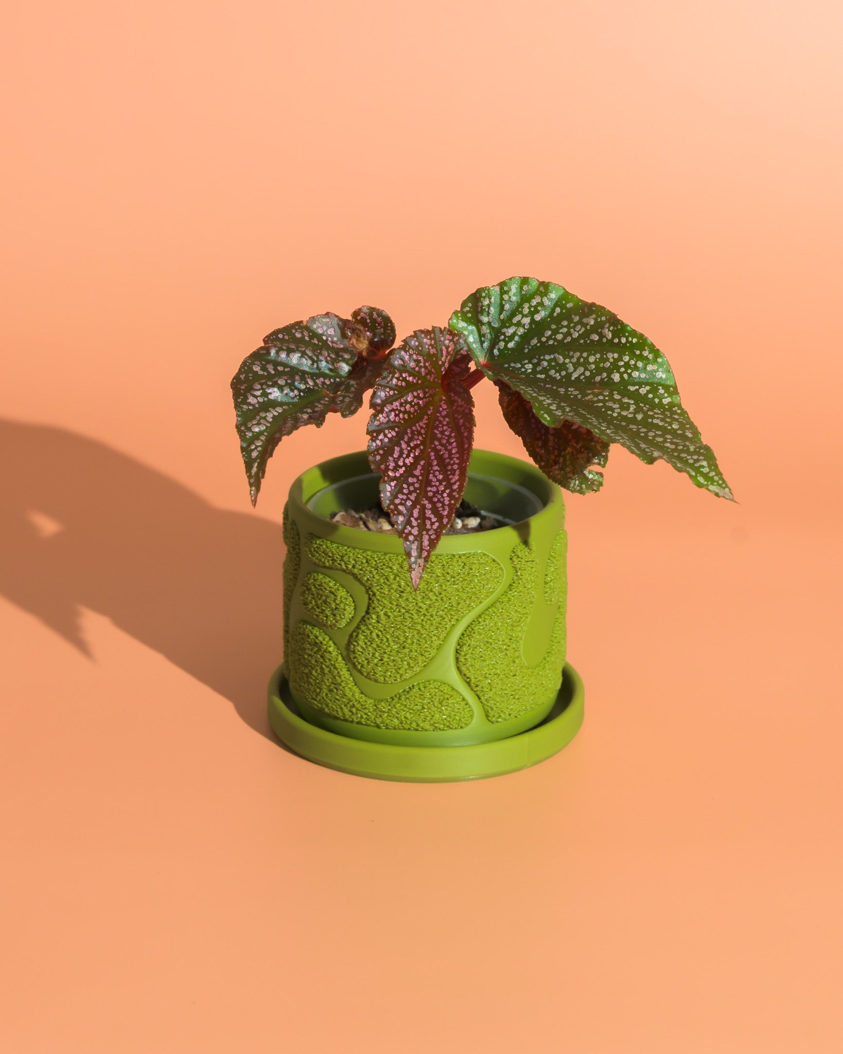 Moss Planter - Boho, Organic Mossy Texture