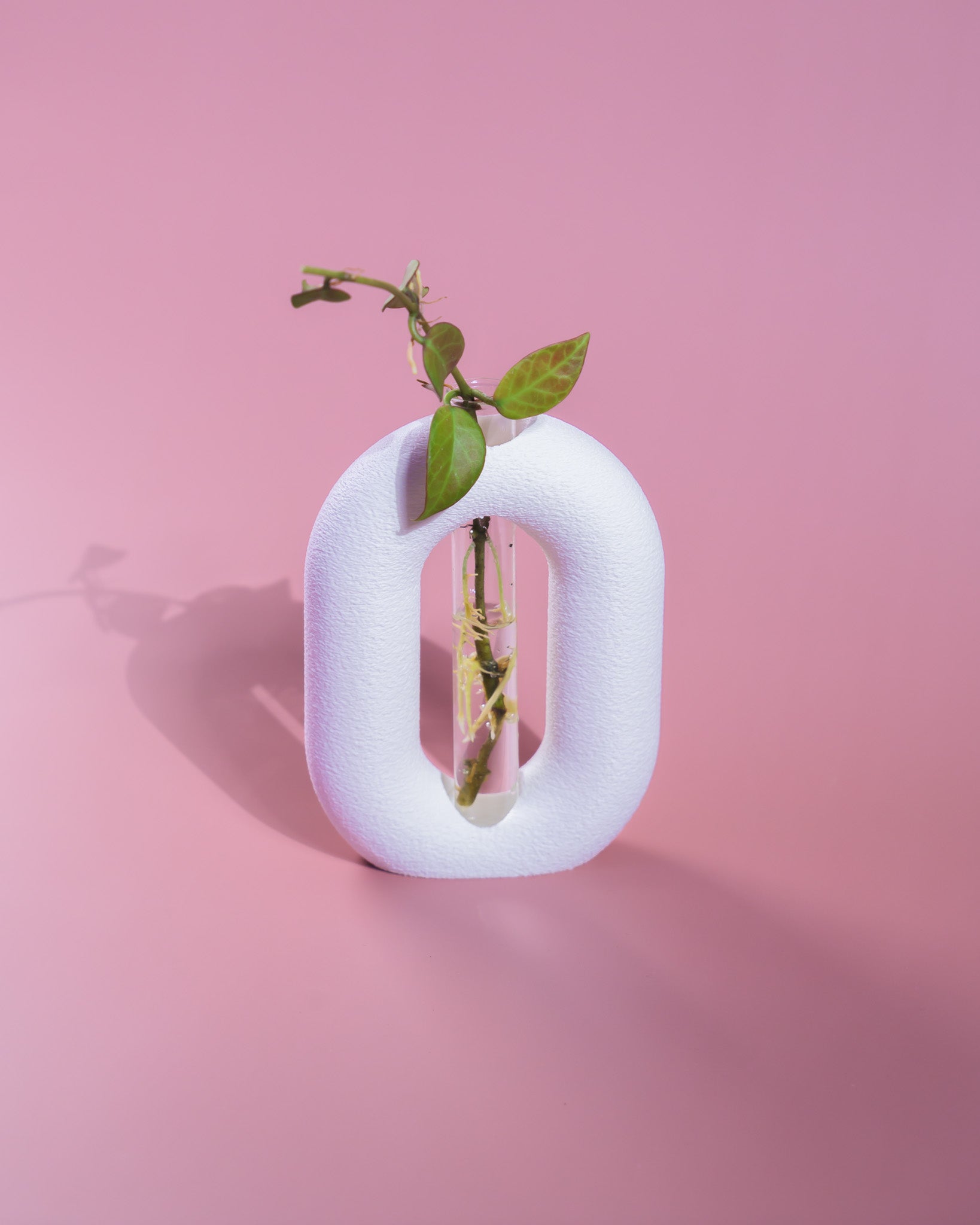 Luma Propagator – Modern Oval Plant Propagation Holder