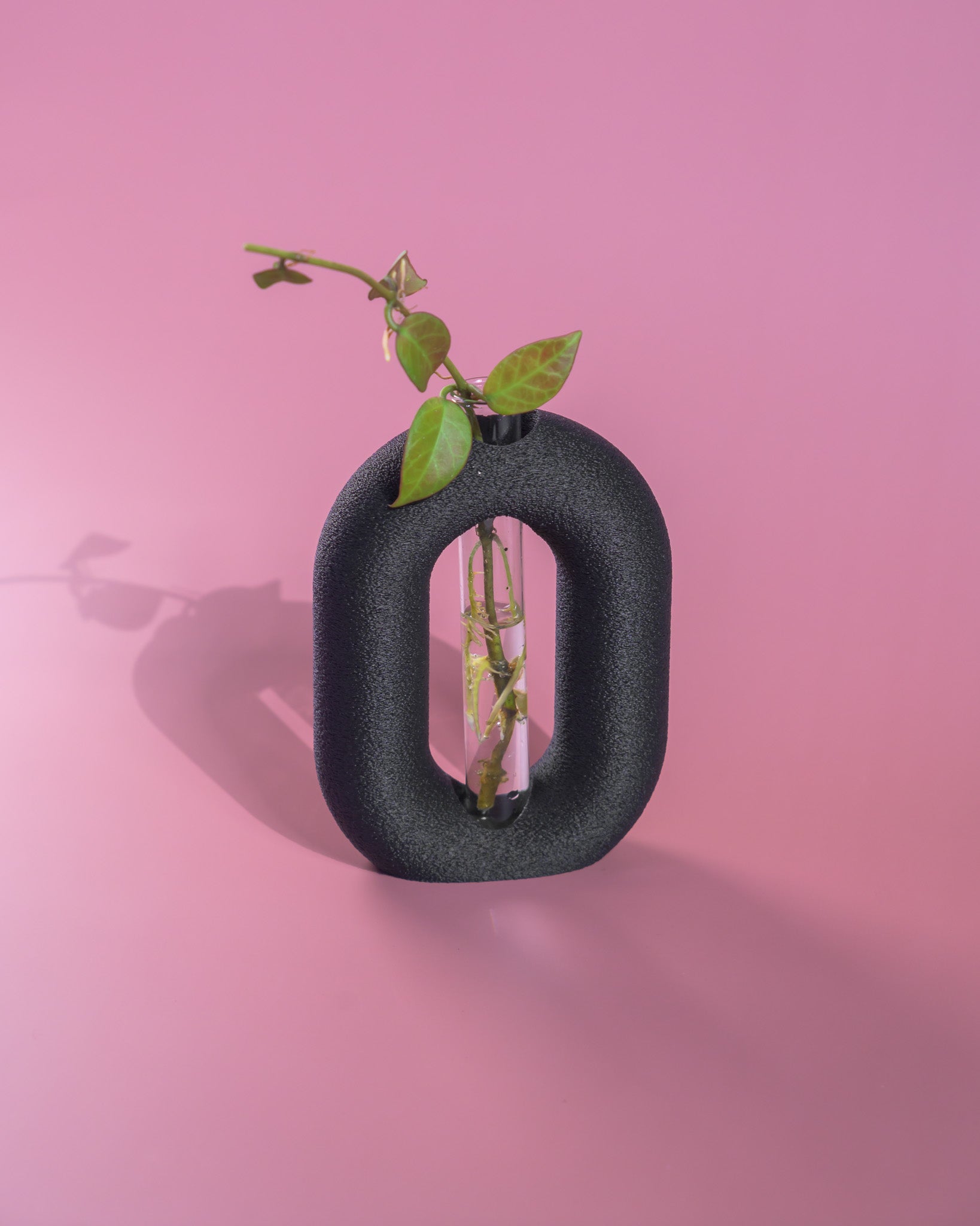 Luma Propagator – Modern Oval Plant Propagation Holder