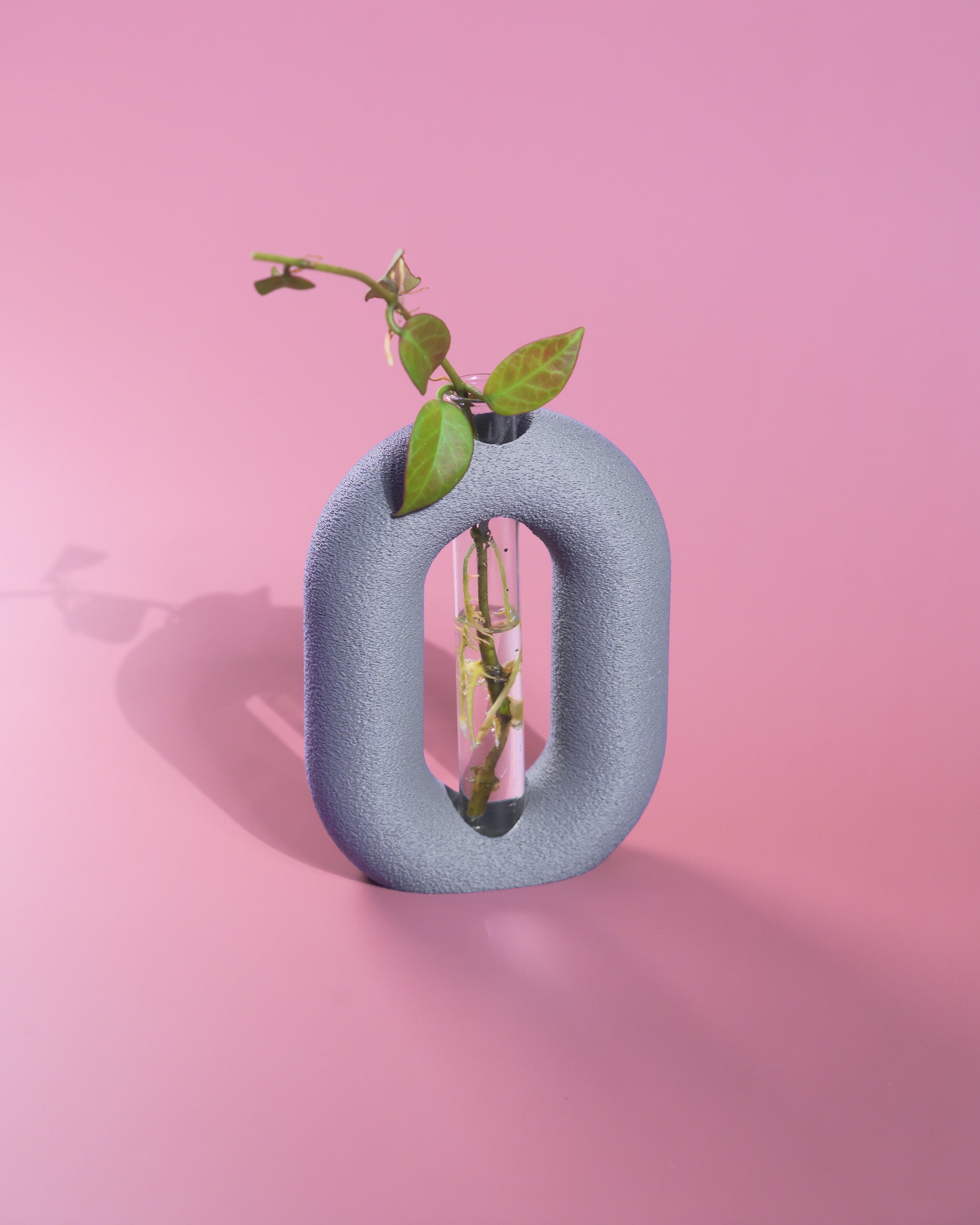 Luma Propagator – Modern Oval Plant Propagation Holder