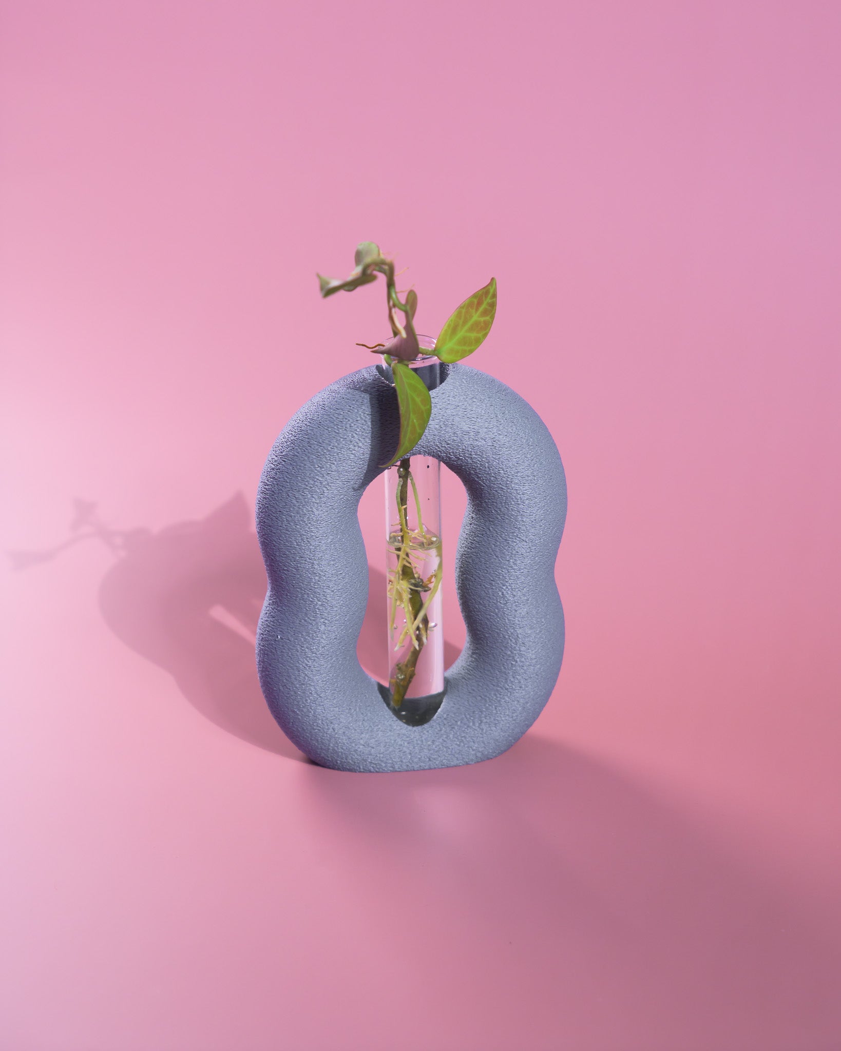 Vora Propagator – Sculptural Torus Plant Propagation Holder