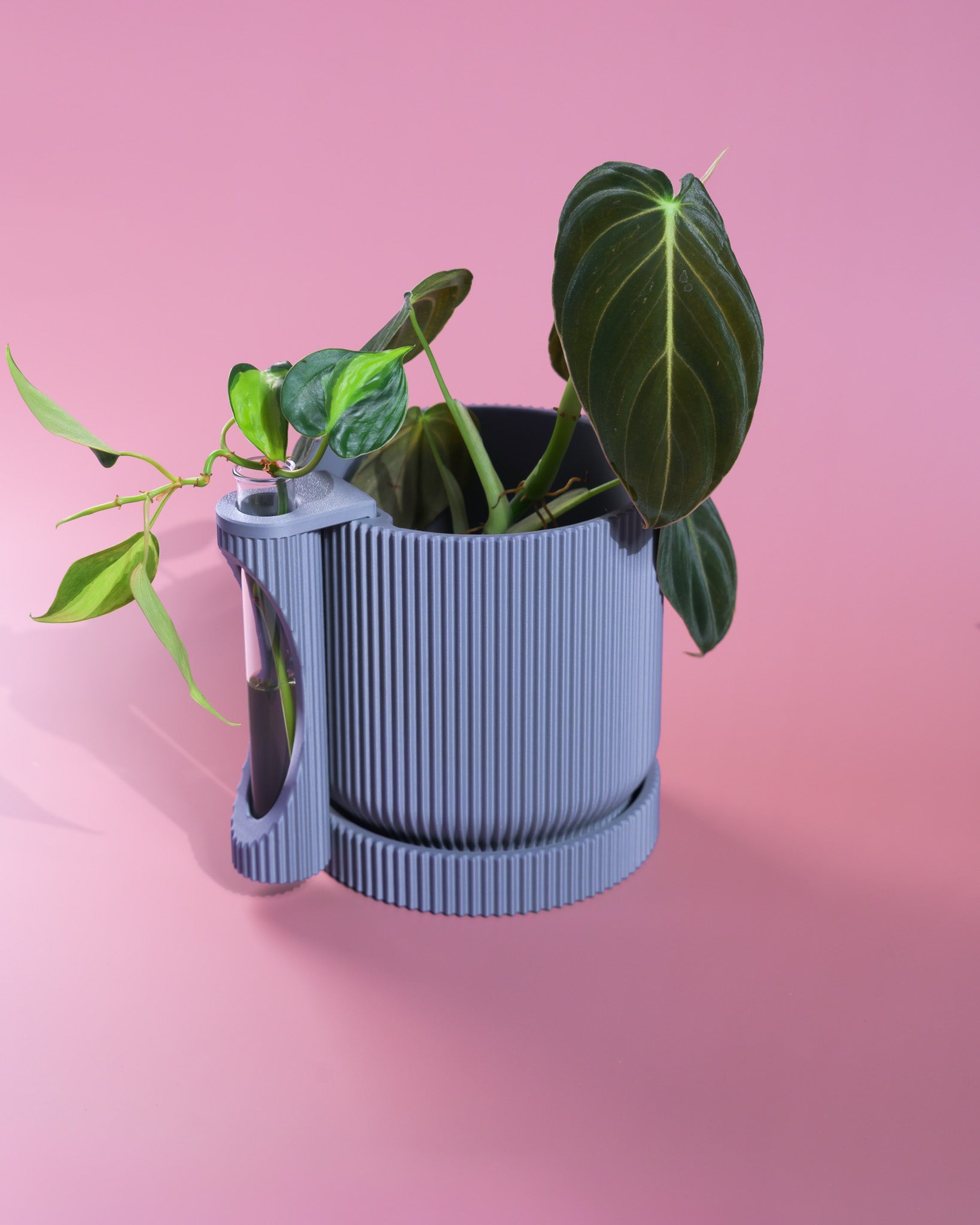 Nova Planter + Propagator – 2-in-1 Planter With Drainage & Drip Tray