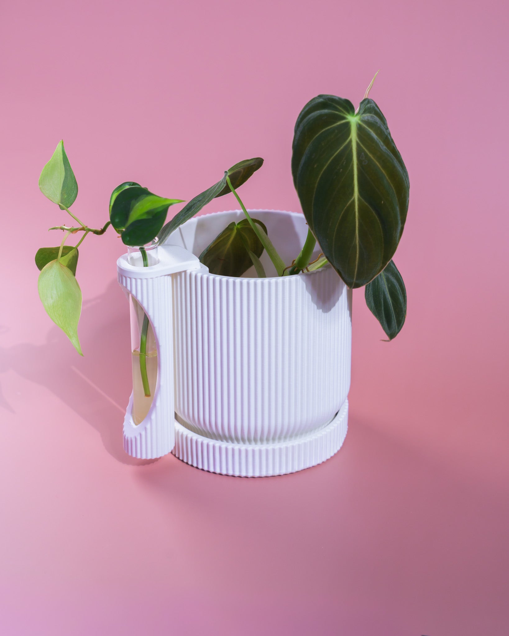 Nova Planter + Propagator – 2-in-1 Planter With Drainage & Drip Tray