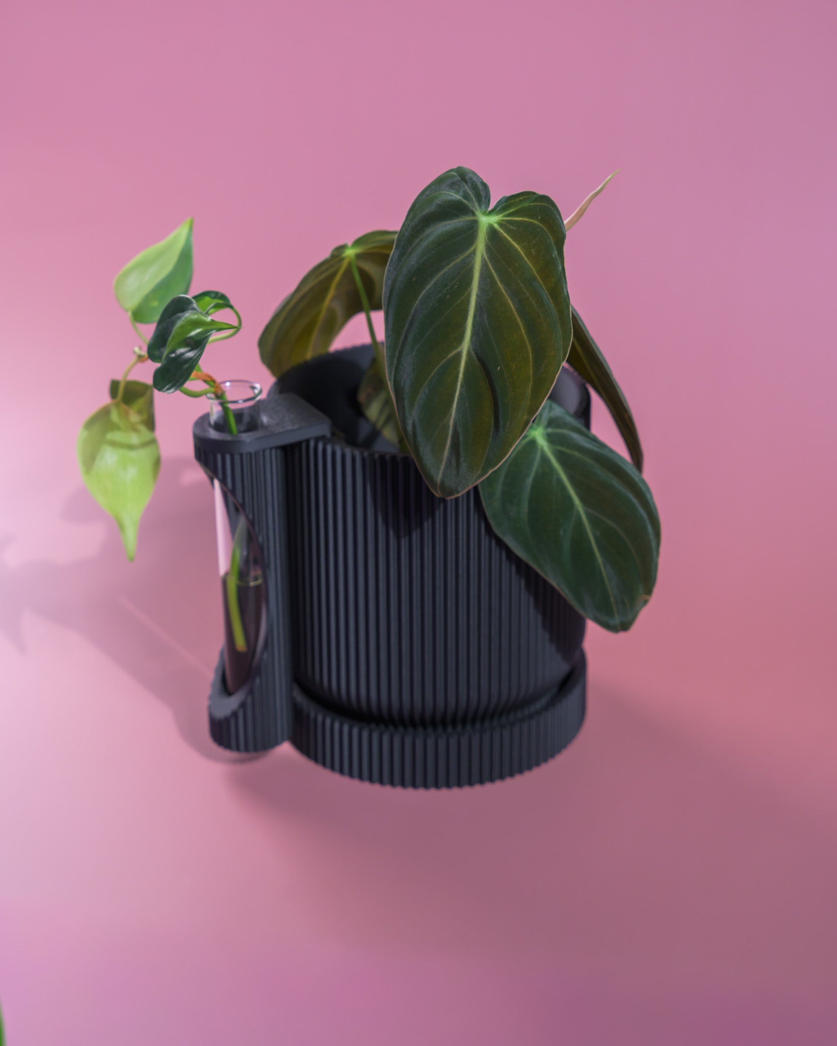 Nova Planter + Propagator – 2-in-1 Planter With Drainage & Drip Tray