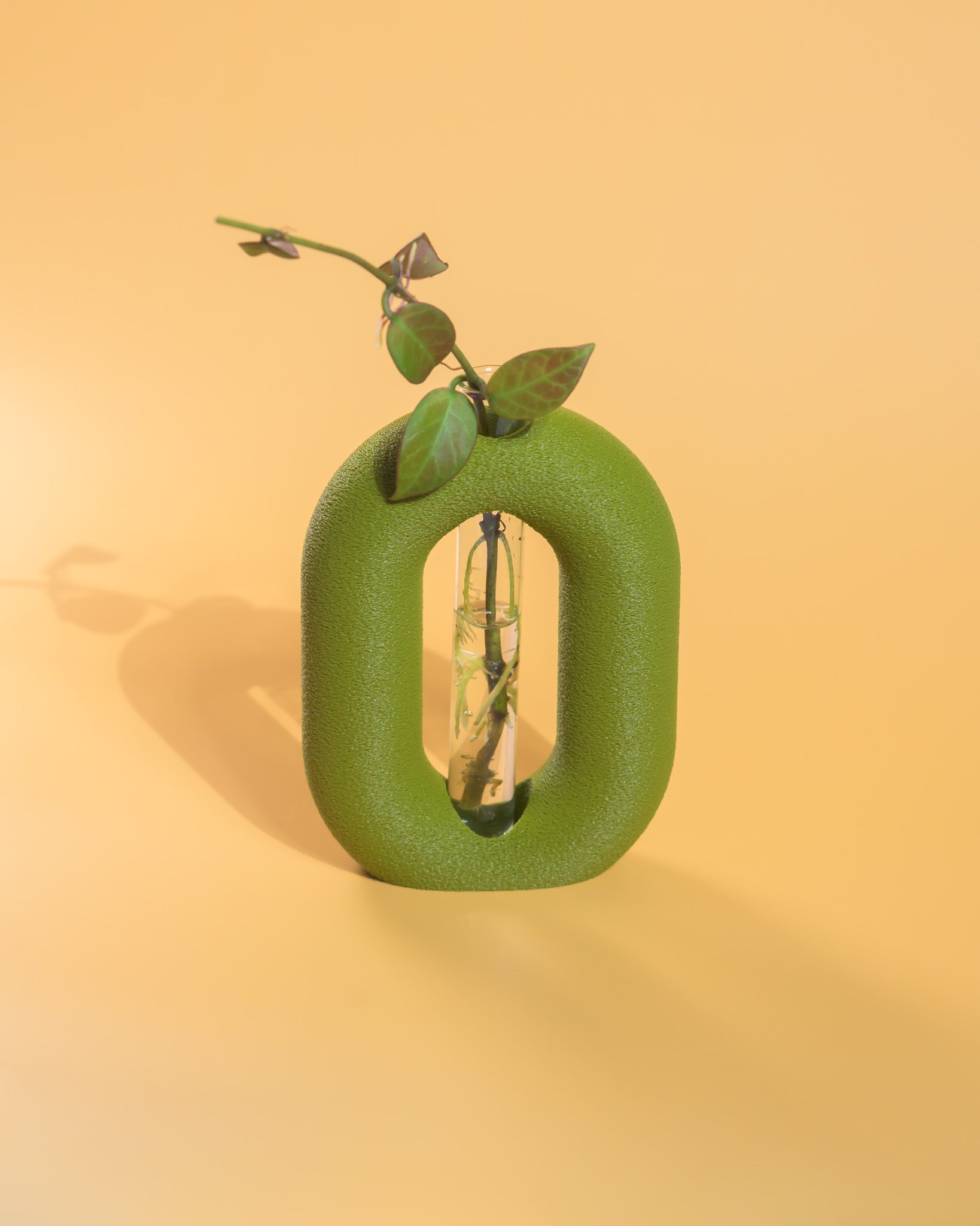 Luma Propagator – Modern Oval Plant Propagation Holder