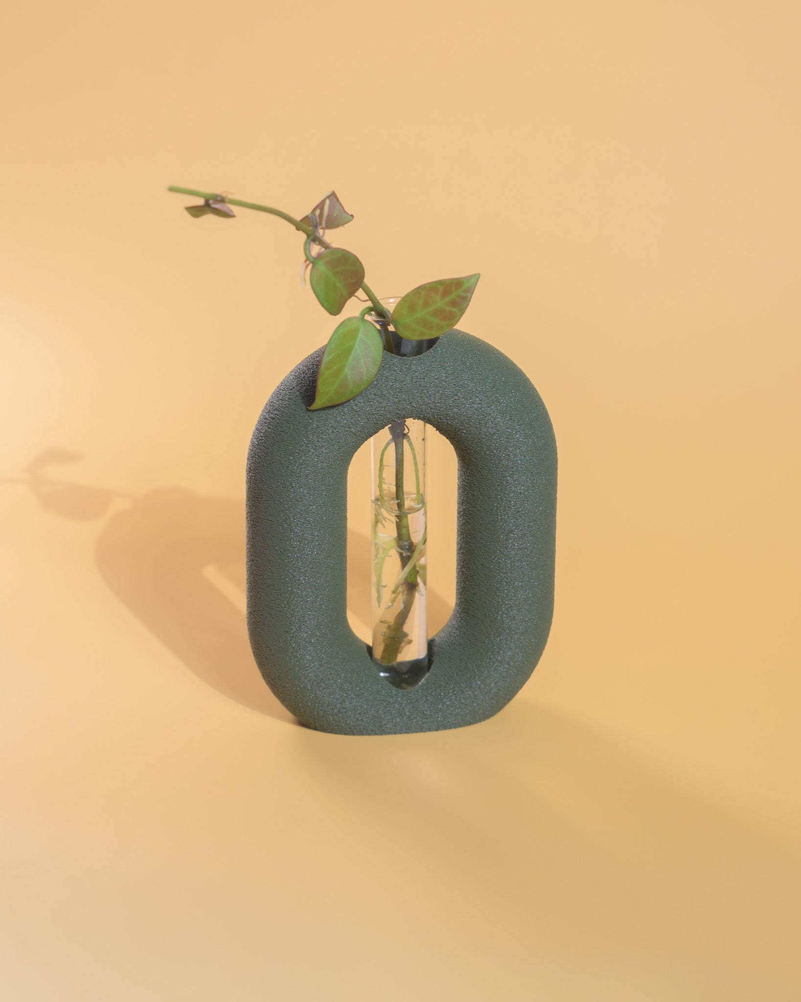 Luma Propagator – Modern Oval Plant Propagation Holder