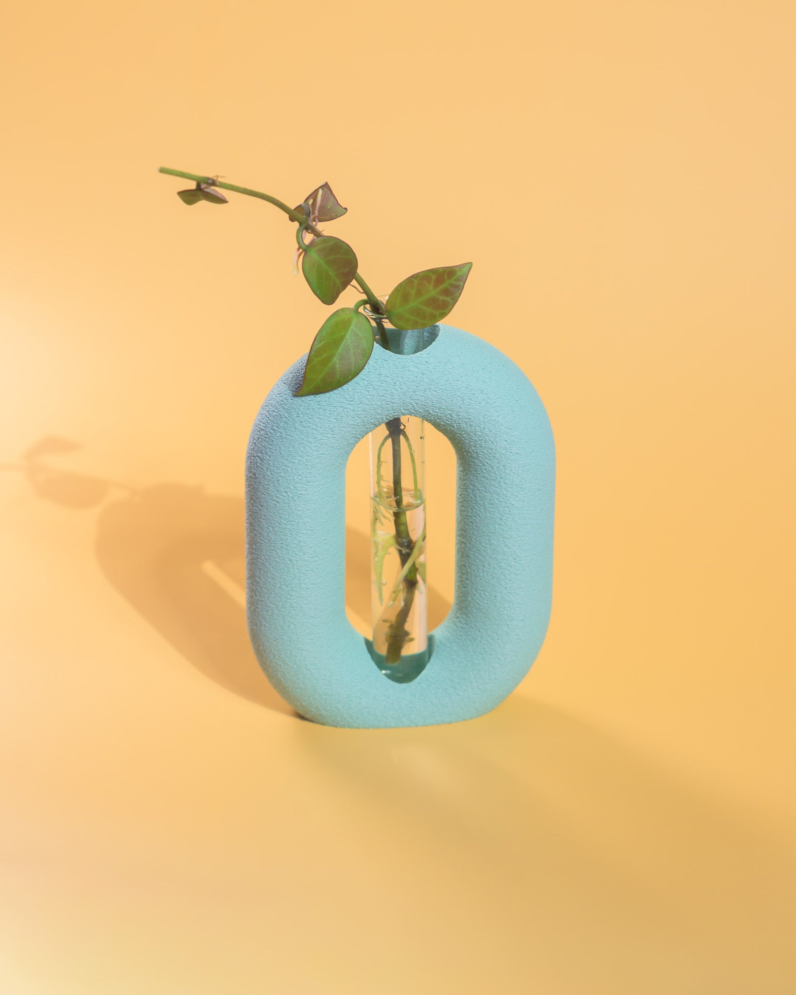 Luma Propagator – Modern Oval Plant Propagation Holder