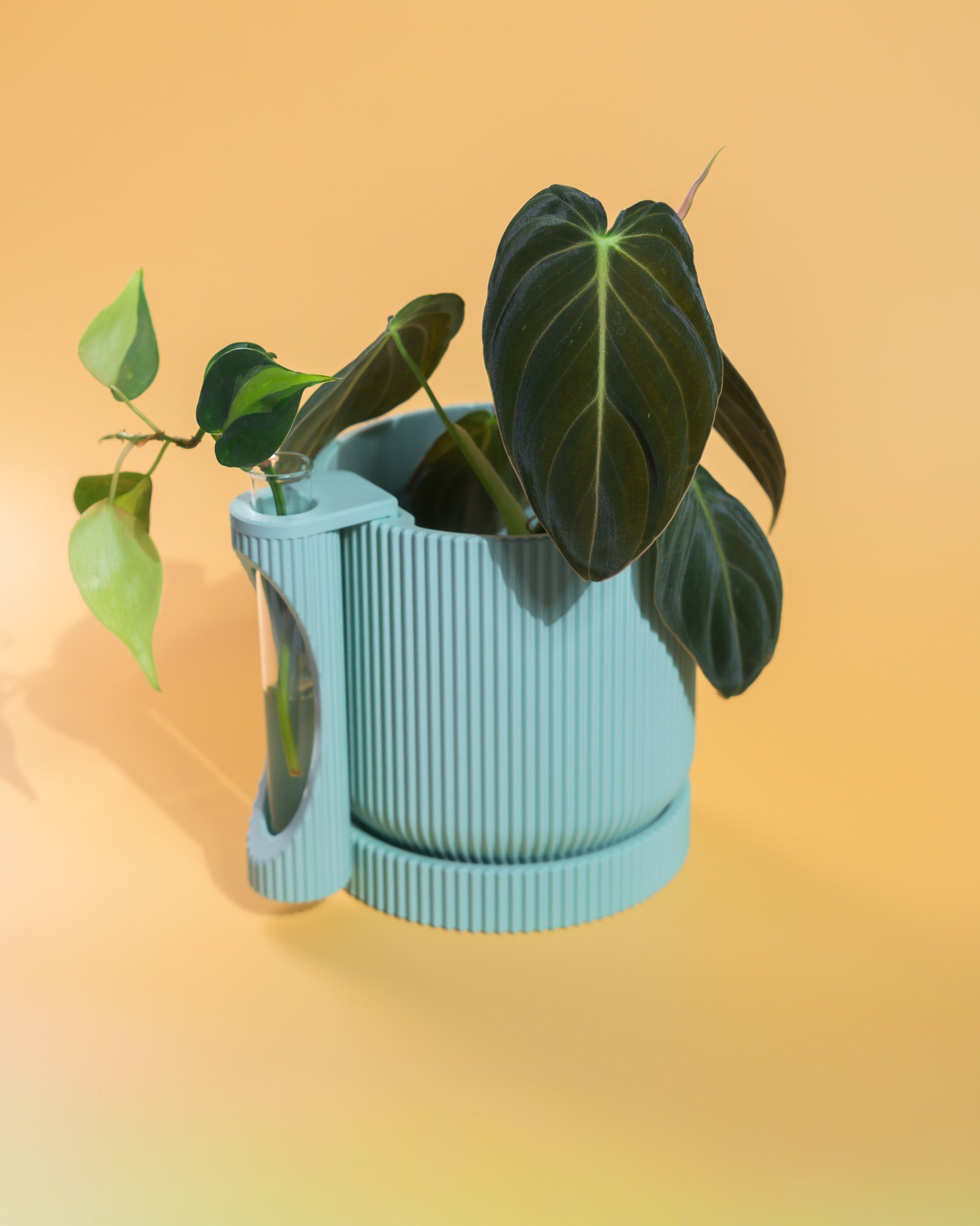 Nova Planter + Propagator – 2-in-1 Planter With Drainage & Drip Tray