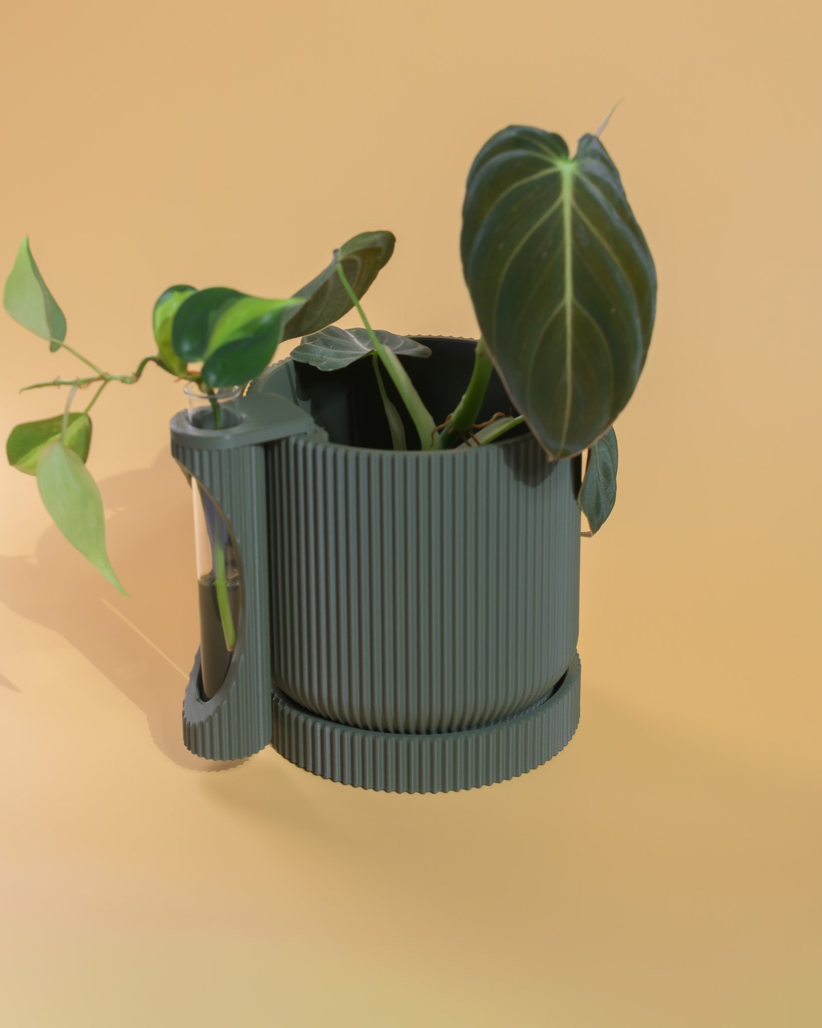 Nova Planter + Propagator – 2-in-1 Planter With Drainage & Drip Tray