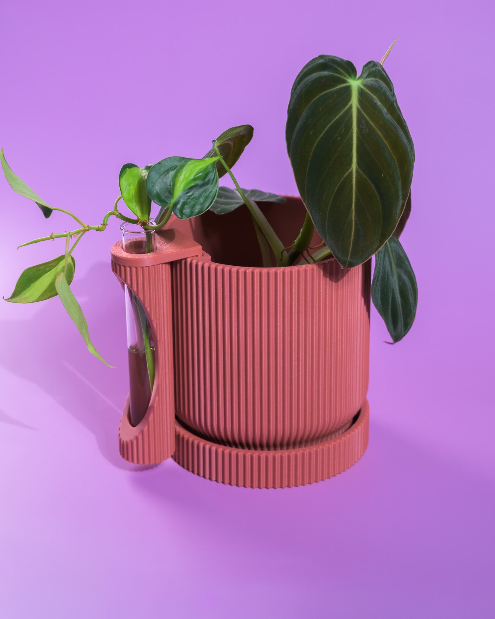 Nova Planter + Propagator – 2-in-1 Planter With Drainage & Drip Tray