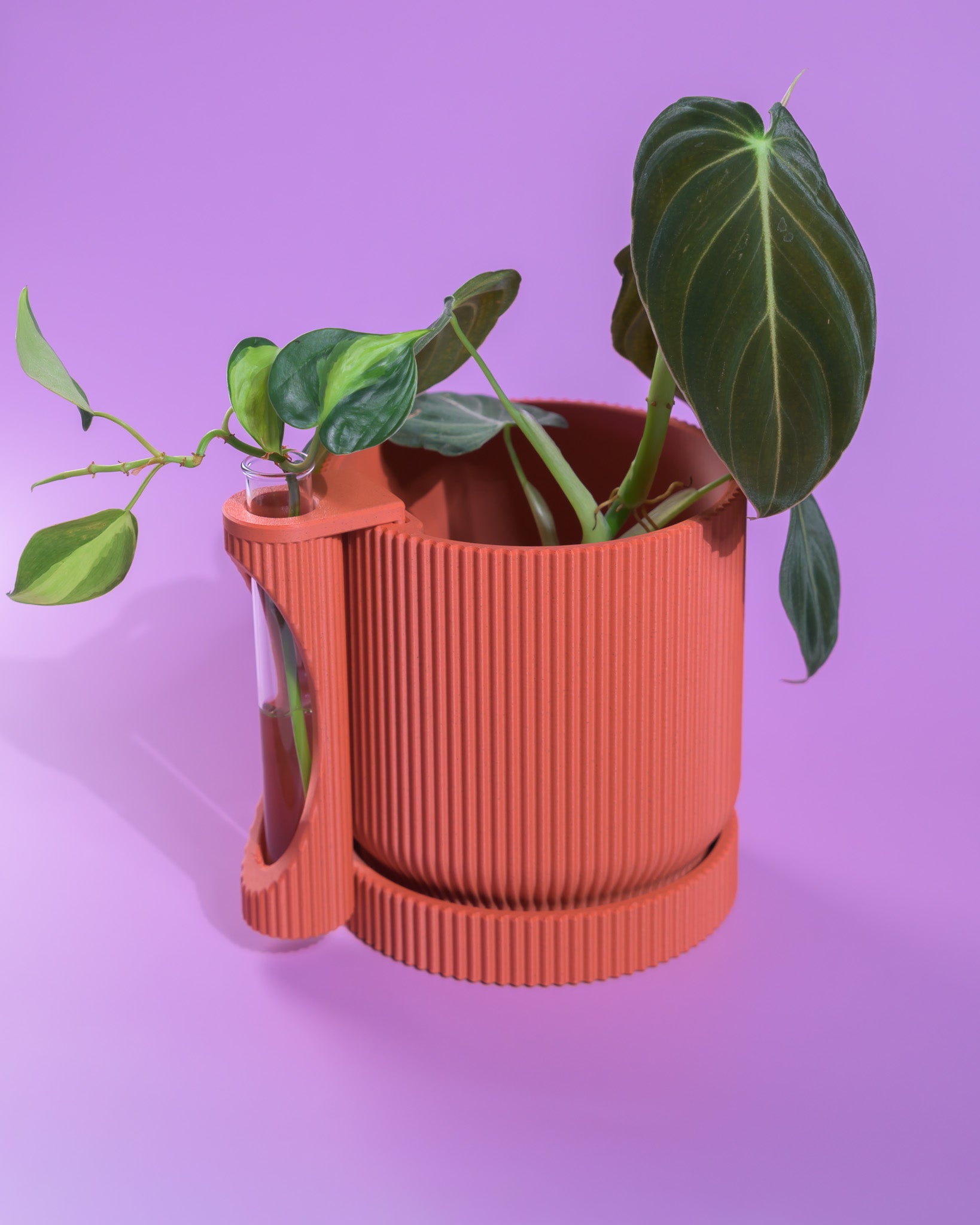 Nova Planter + Propagator – 2-in-1 Planter With Drainage & Drip Tray