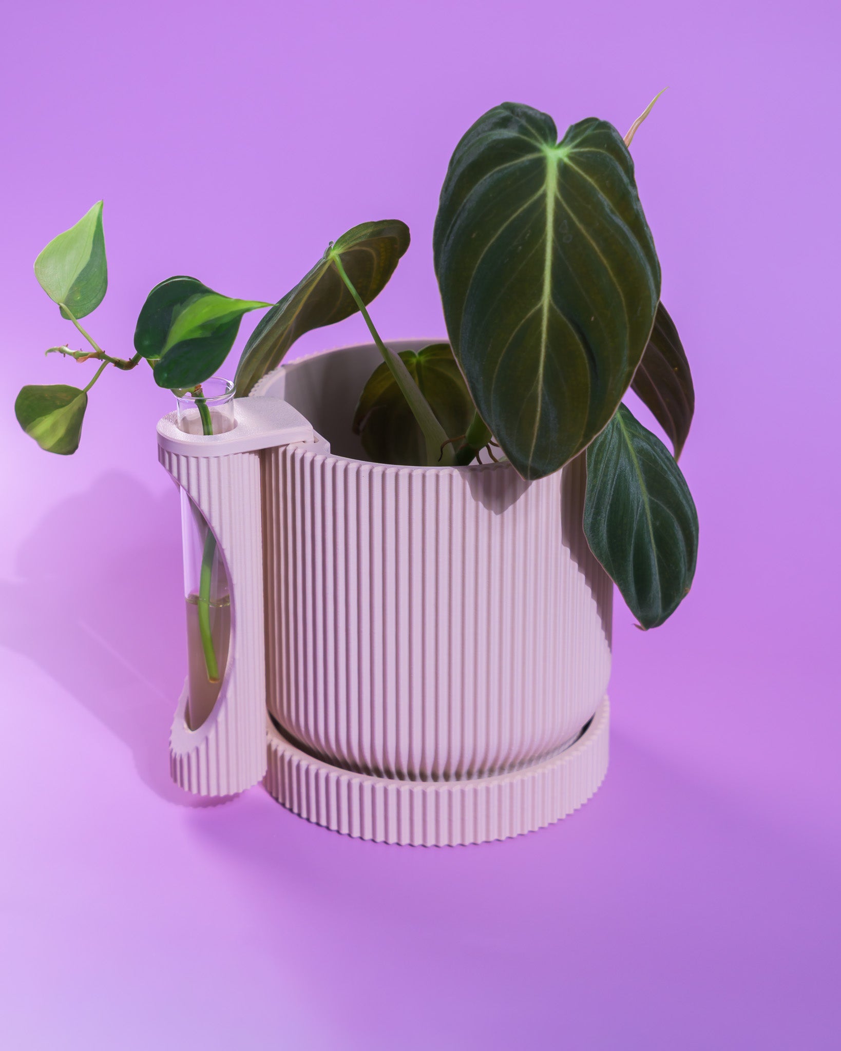 Nova Planter + Propagator – 2-in-1 Planter With Drainage & Drip Tray