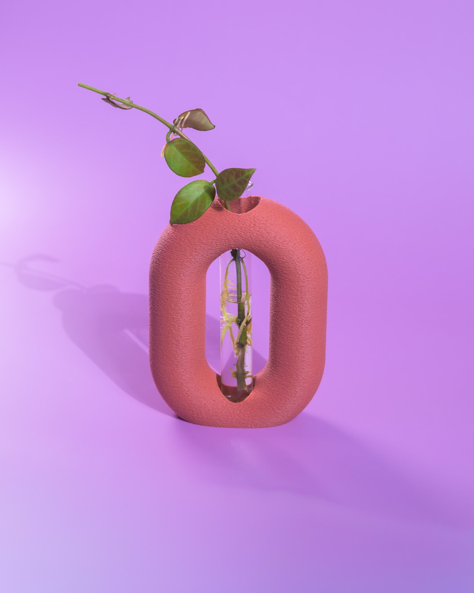 Luma Propagator – Modern Oval Plant Propagation Holder