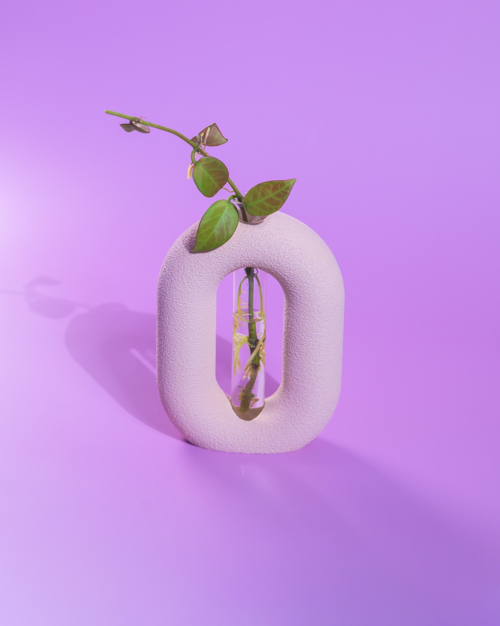 Luma Propagator – Modern Oval Plant Propagation Holder