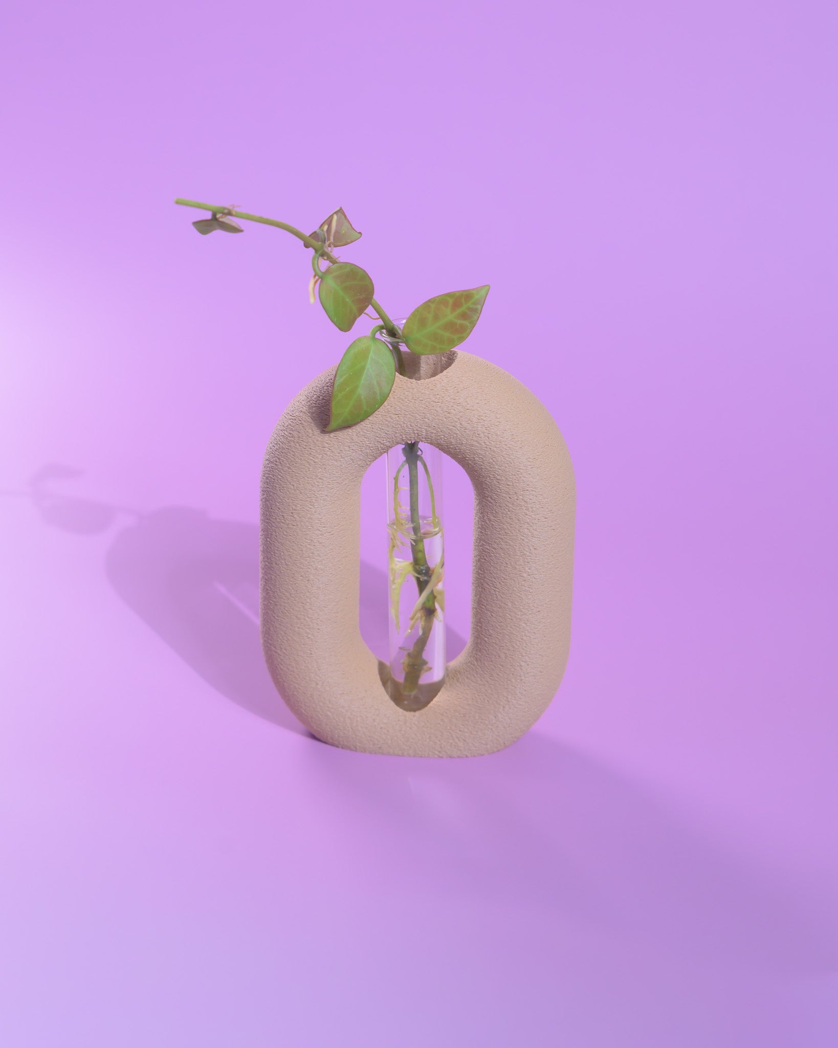 Luma Propagator – Modern Oval Plant Propagation Holder