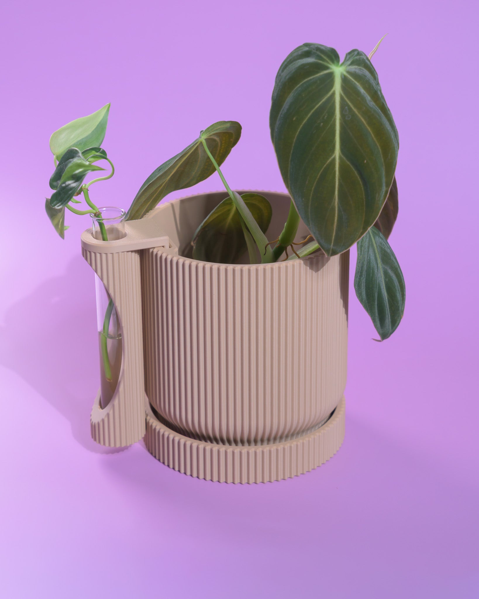 Nova Planter + Propagator – 2-in-1 Planter With Drainage & Drip Tray