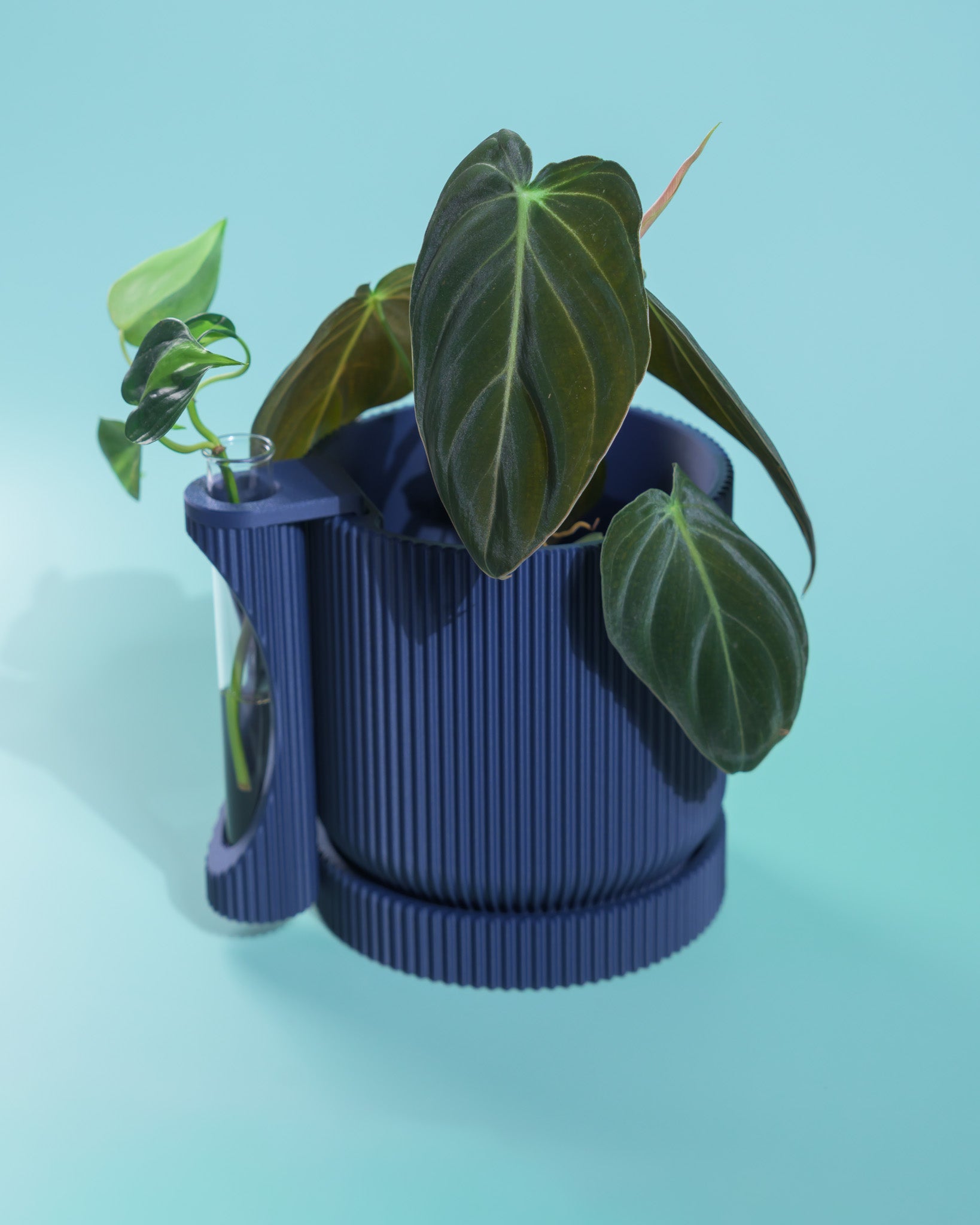 Nova Planter + Propagator – 2-in-1 Planter With Drainage & Drip Tray