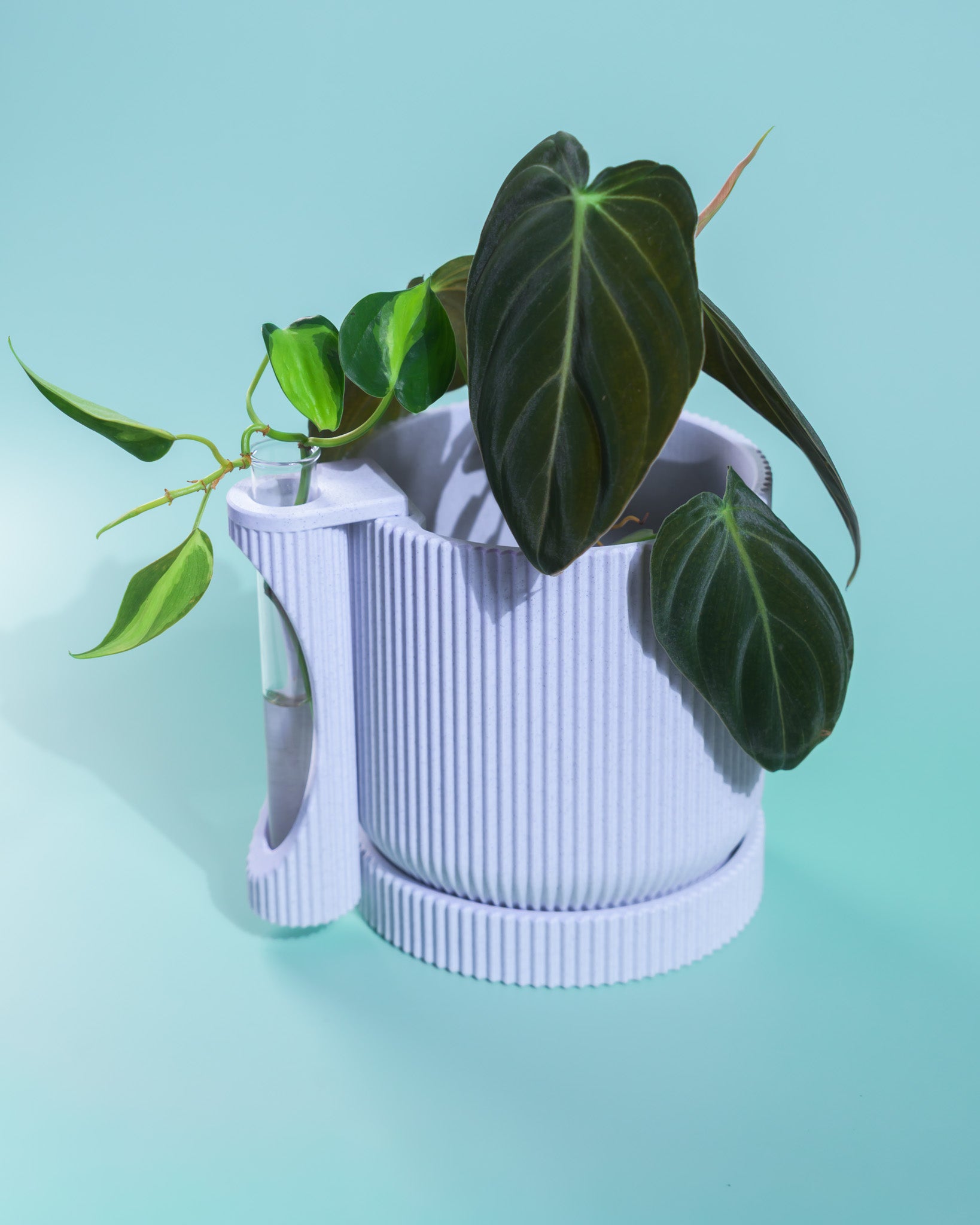 Nova Planter + Propagator – 2-in-1 Planter With Drainage & Drip Tray