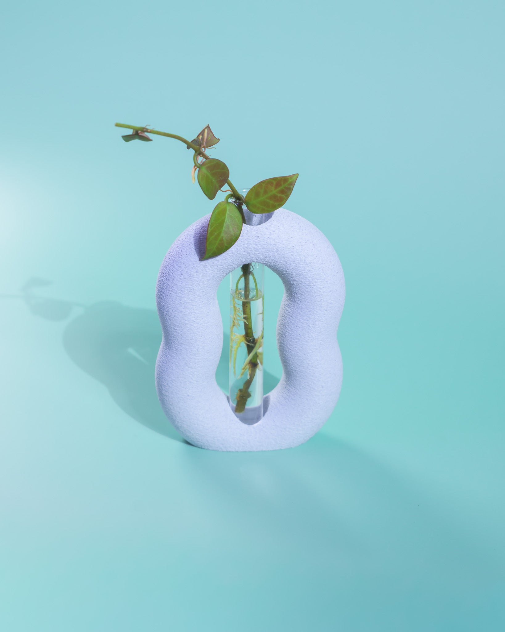 Vora Propagator – Sculptural Torus Plant Propagation Holder