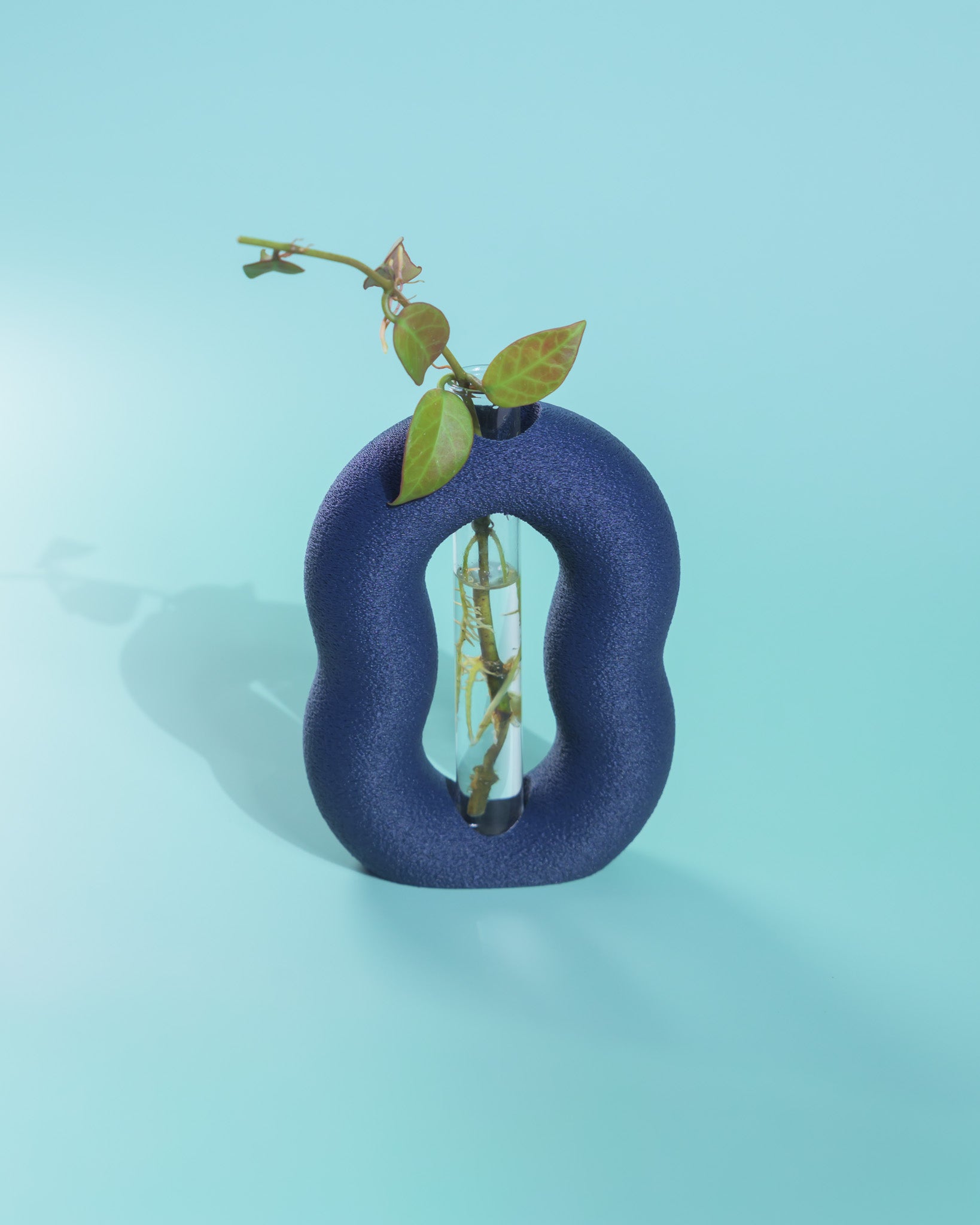 Vora Propagator – Sculptural Torus Plant Propagation Holder