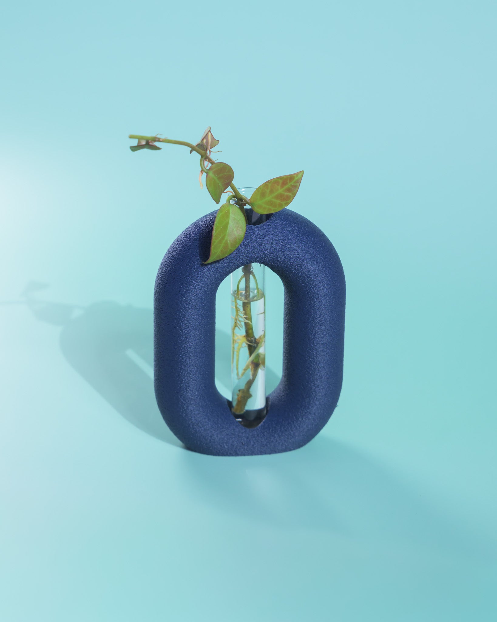 Luma Propagator – Modern Oval Plant Propagation Holder