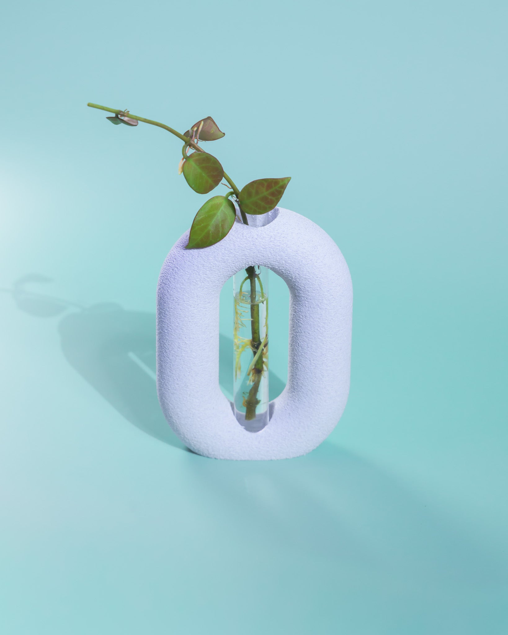 Luma Propagator – Modern Oval Plant Propagation Holder