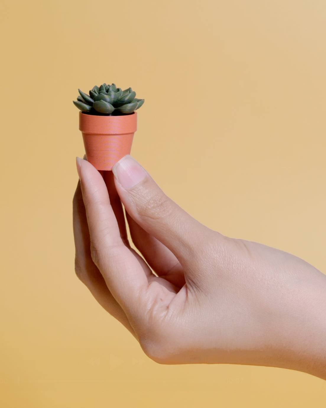 Spinny Succulents - Plant Fidget Toys