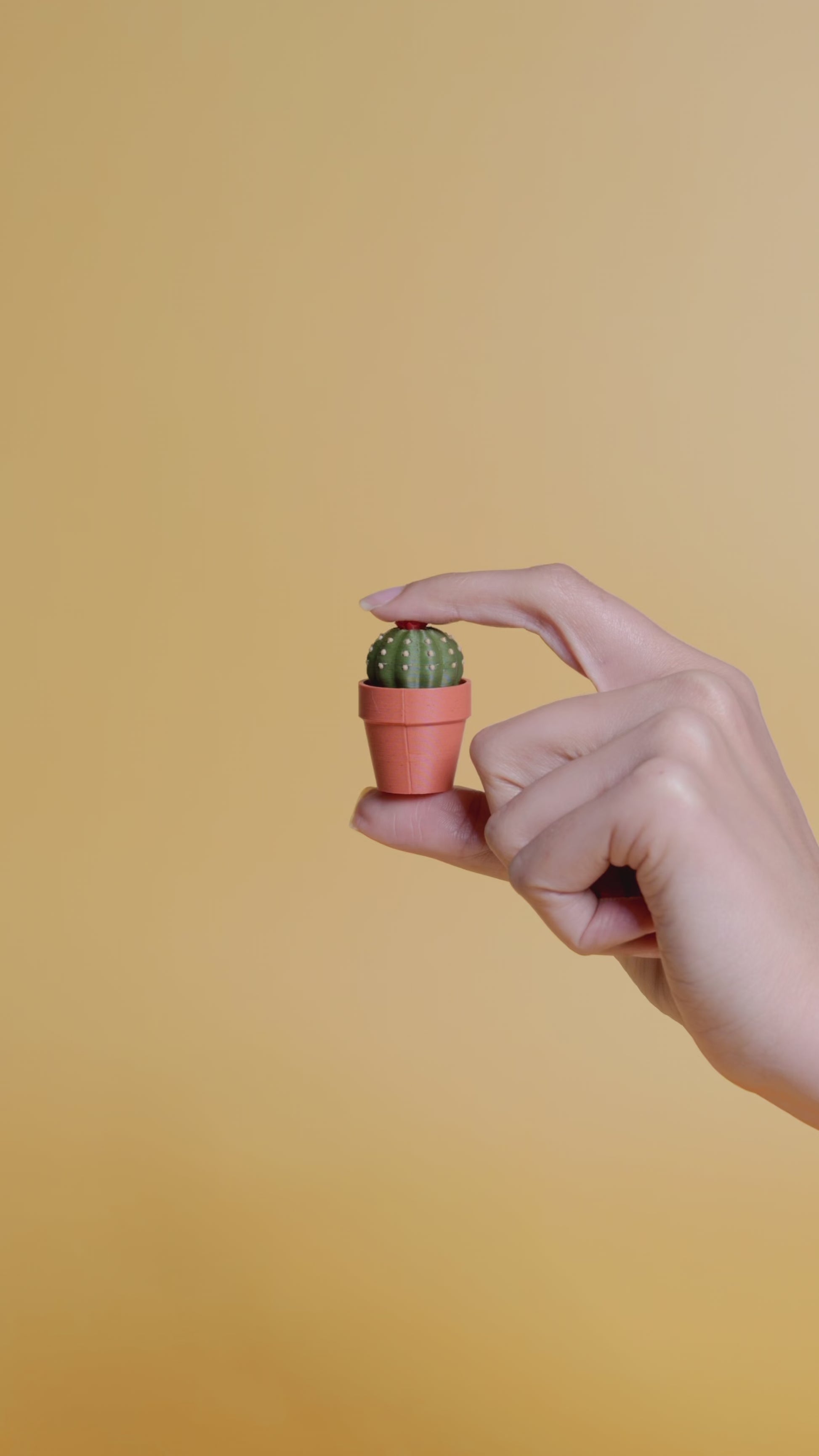 Clicky Cacti - Fidget Clickers