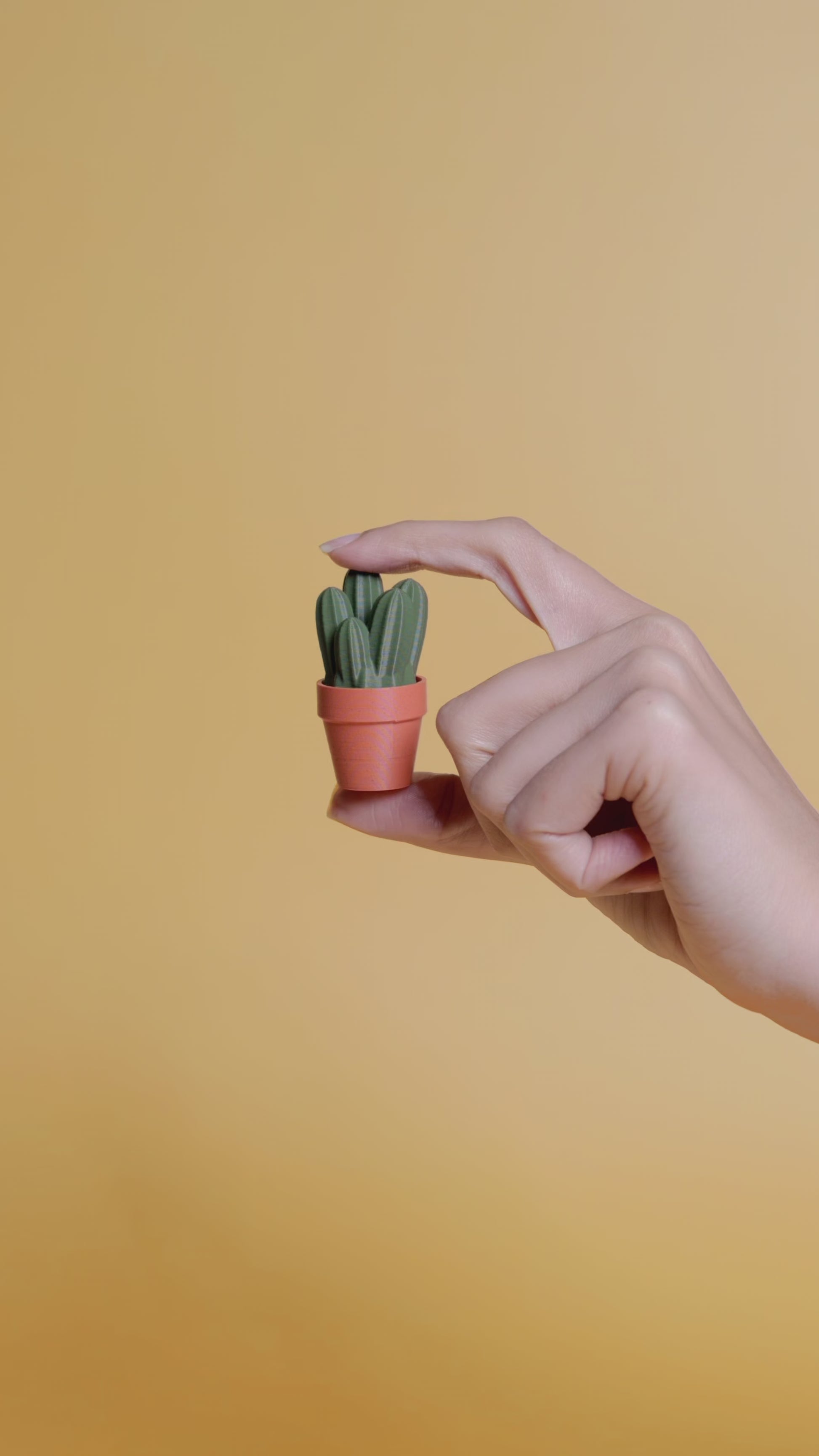 Clicky Cacti - Fidget Clickers