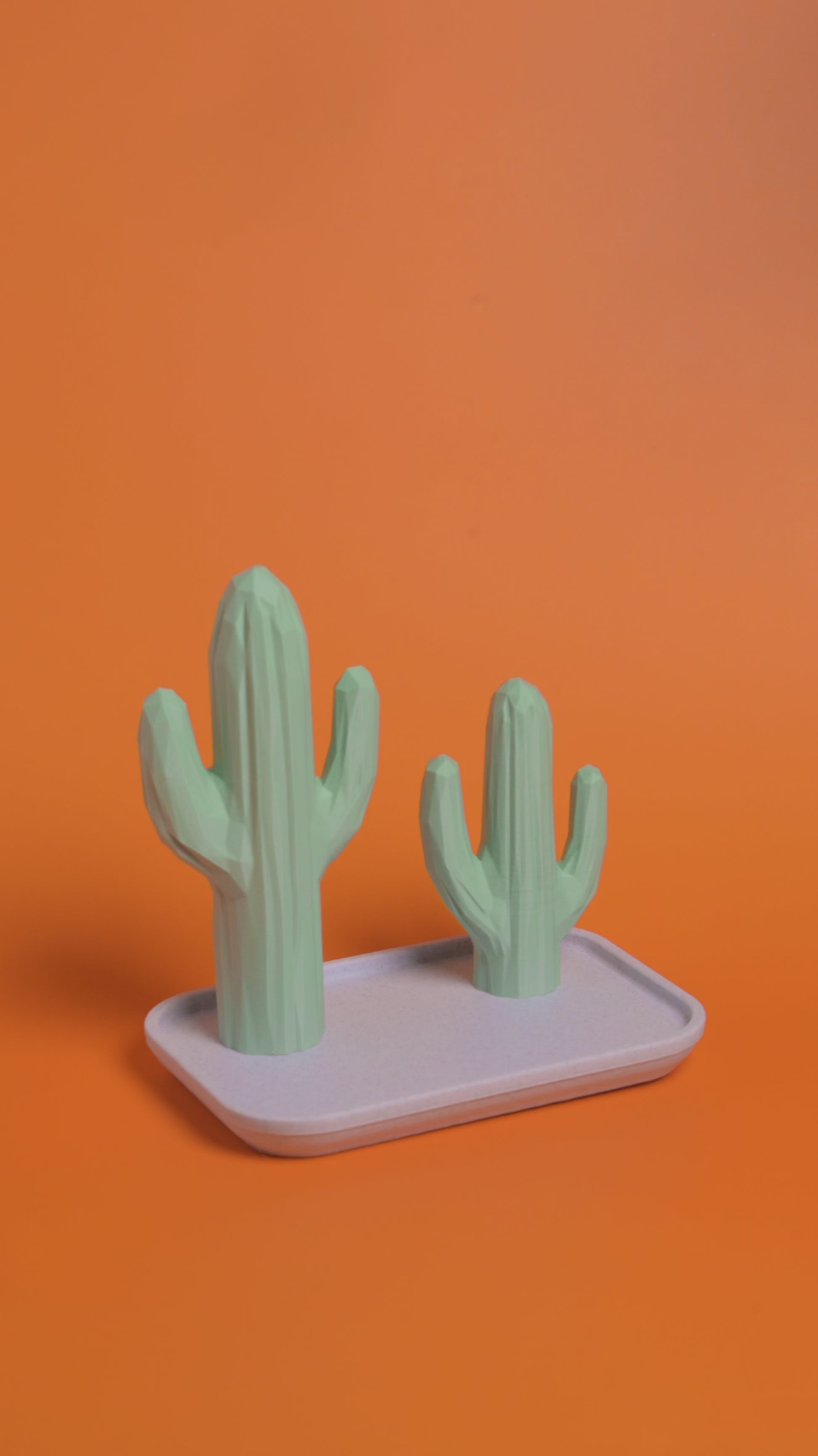 Desert Gem Jewelry Tray – A Cactus-Inspired Statement for Your Treasures