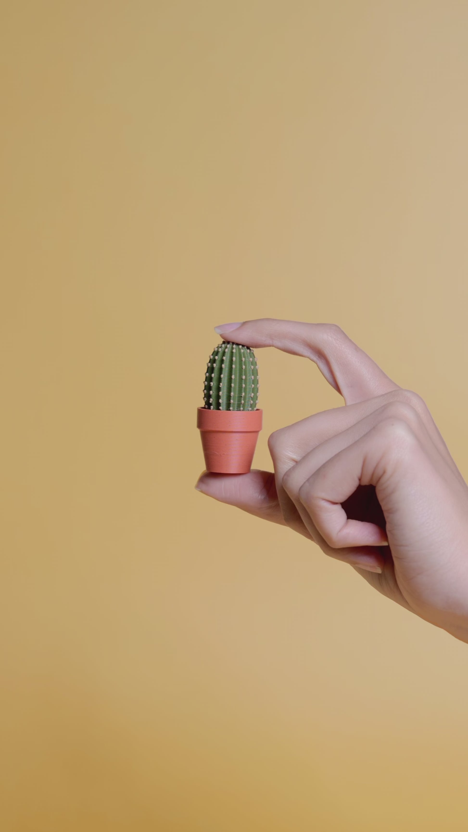 Clicky Cacti - Fidget Clickers
